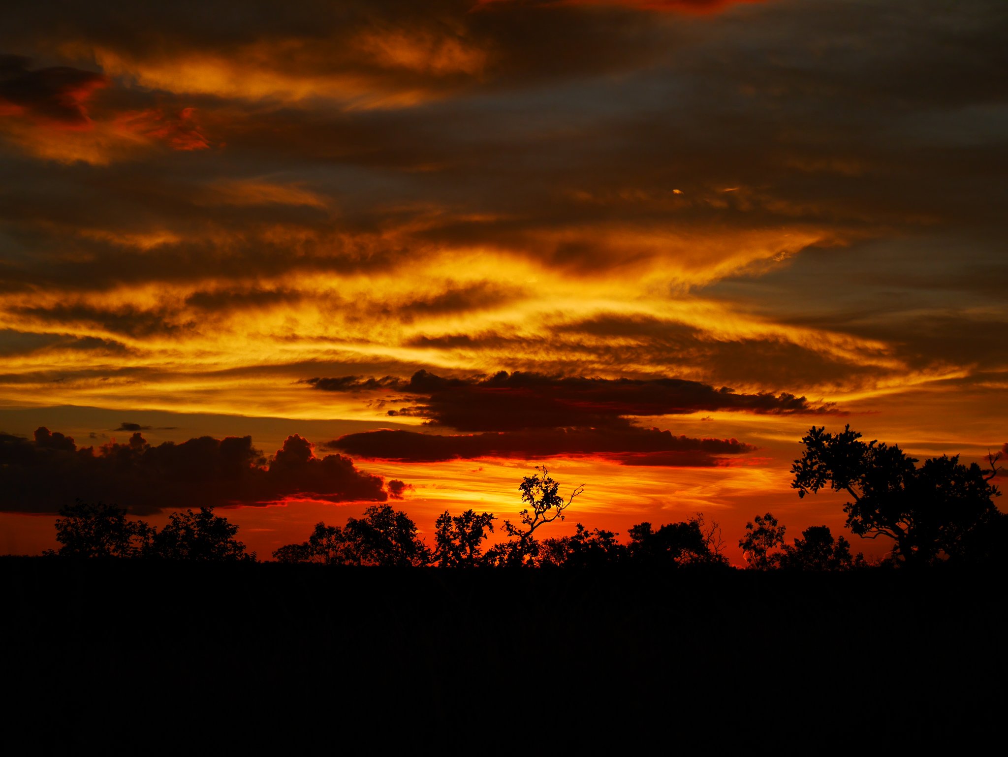 Sky on fire, savanna in silhouette — the last light of Jalapão. Dramatic fiery sunset over a silhouetted savanna treeline during a Jalapão trip, with layers of deep red, amber, and gold clouds filling the sky