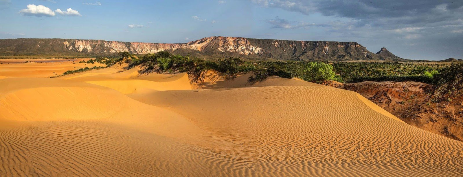 Sand sculpted by wind, stone carved by time — Jalapão's dunes and plateau in one breathtaking frame. Wind-rippled golden sand dunes of Jalapão State Park stretching toward a flat-topped sandstone plateau and green cerrado vegetation under a dramatic blue sky