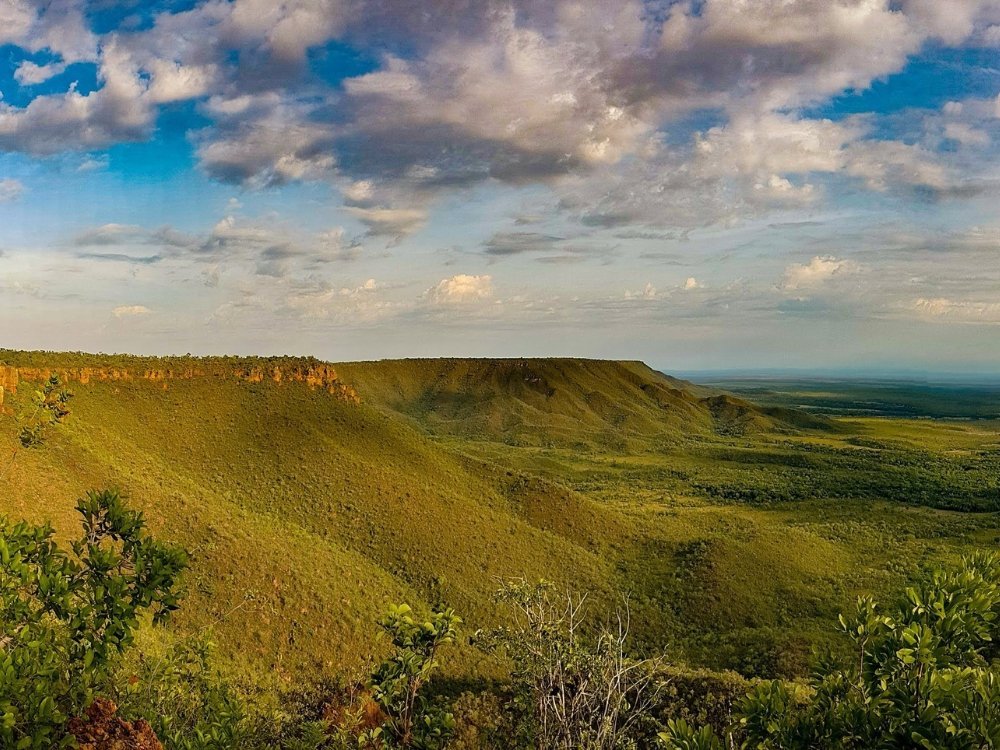 Flat tops, endless sky — the ancient plateau unfolds at the edge of the world. A vast green escarpment stretches across the horizon on a jalapão trip, with flat-topped sandstone cliffs catching warm afternoon light beneath a wide sky filled with cumulus clouds