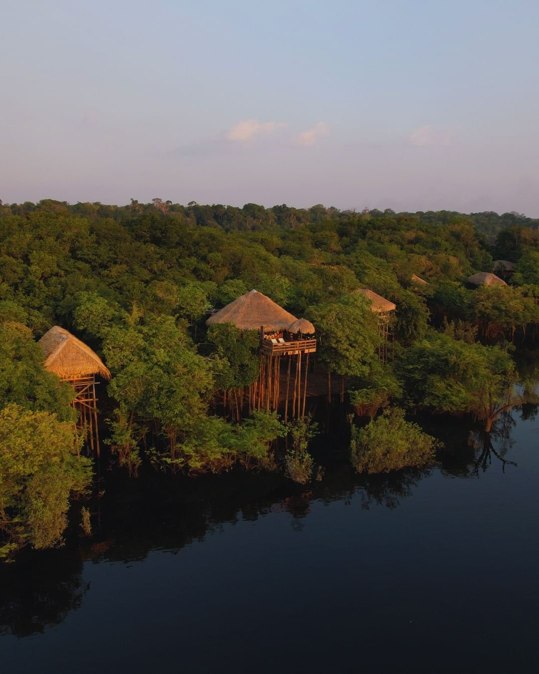 Stilted above the treetops, five thatched bungalows tucked into an unbroken canopy. Aerial view of Juma Amazon Jungle Lodge showing thatched bungalows elevated on wooden stilts above the rainforest canopy beside a dark mirror-flat river at golden hour