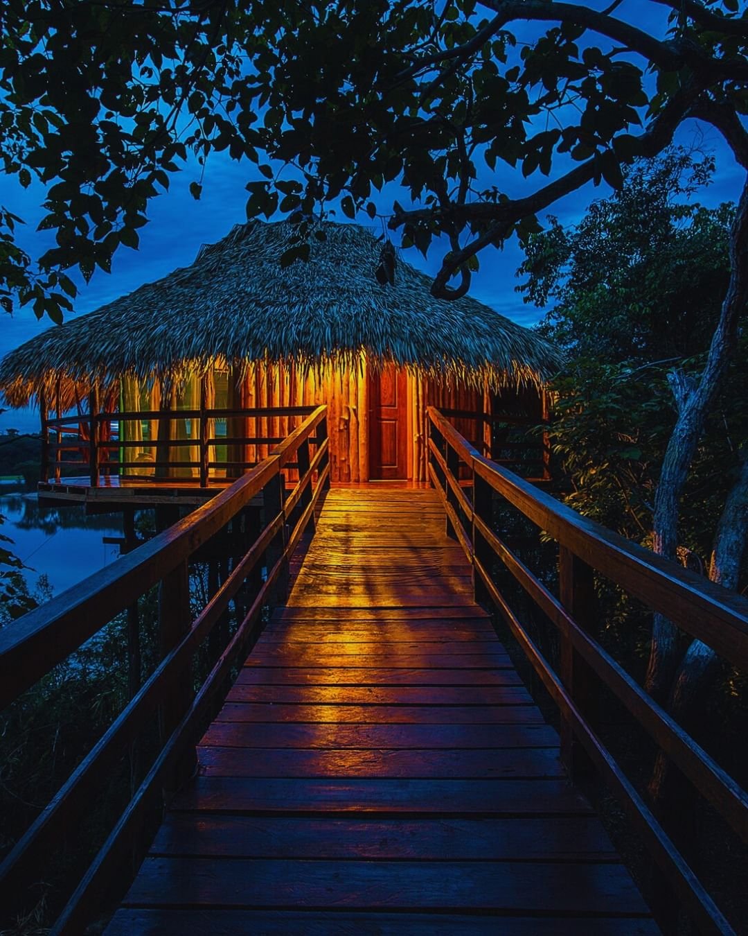 Warm light spills from a thatched bungalow as the forest settles into night. A wooden boardwalk leads through jungle canopy toward a warmly lit thatched bungalow at Juma Amazon Jungle Lodge, glowing amber against a deep blue twilight sky
