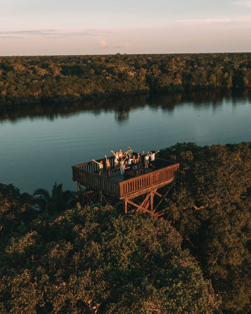 Arms raised, forest stretching endlessly — the view from 31 metres up never gets old. A group of excited travellers waving from a tall wooden observation tower at Juma Amazon Jungle Lodge, surrounded by dense rainforest canopy and a calm river at sunset