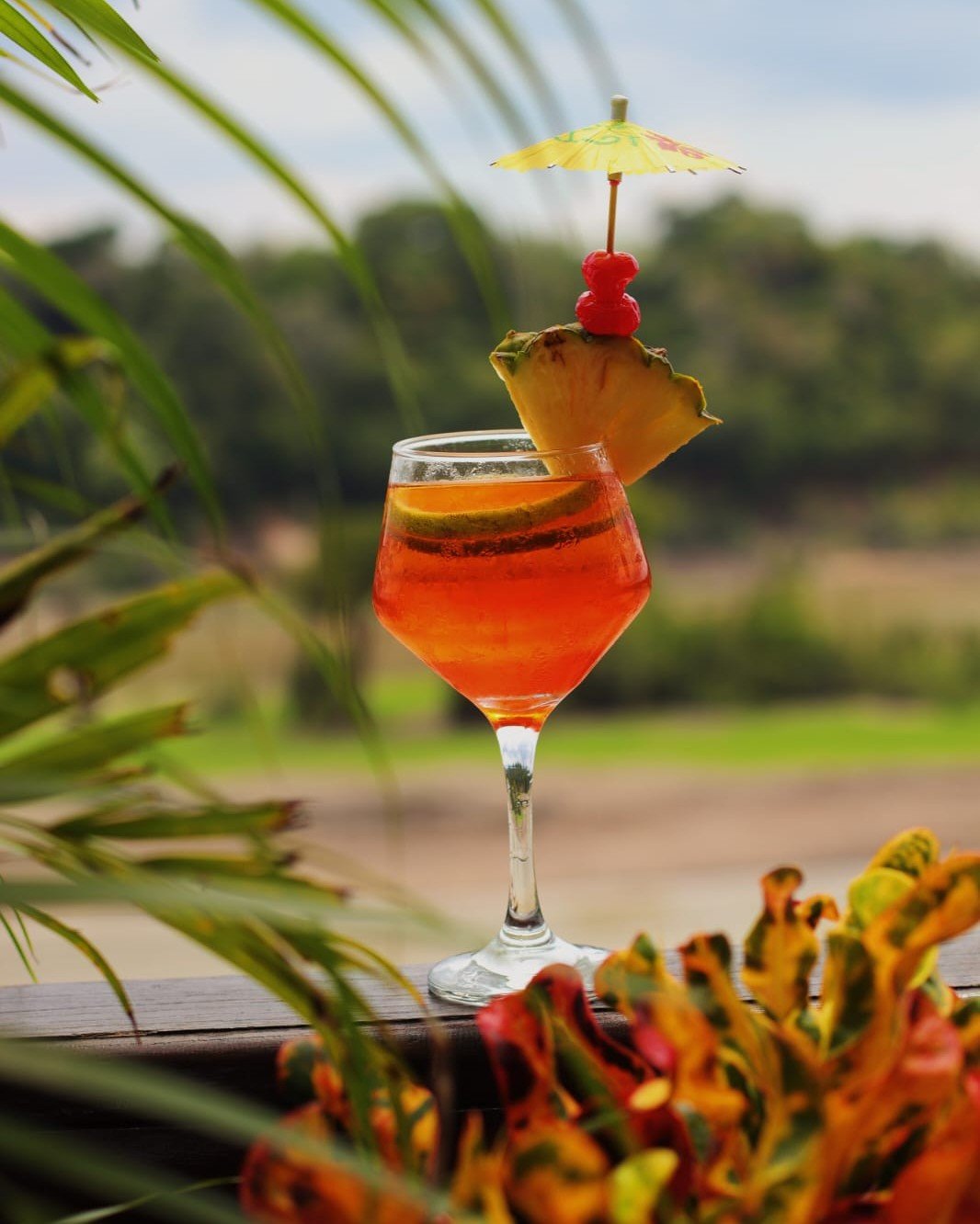 Sip something vibrant before the forest calls. A tropical orange cocktail garnished with pineapple, cherries and a paper umbrella served at Juma Amazon Jungle Lodge, with lush greenery blurred in the background