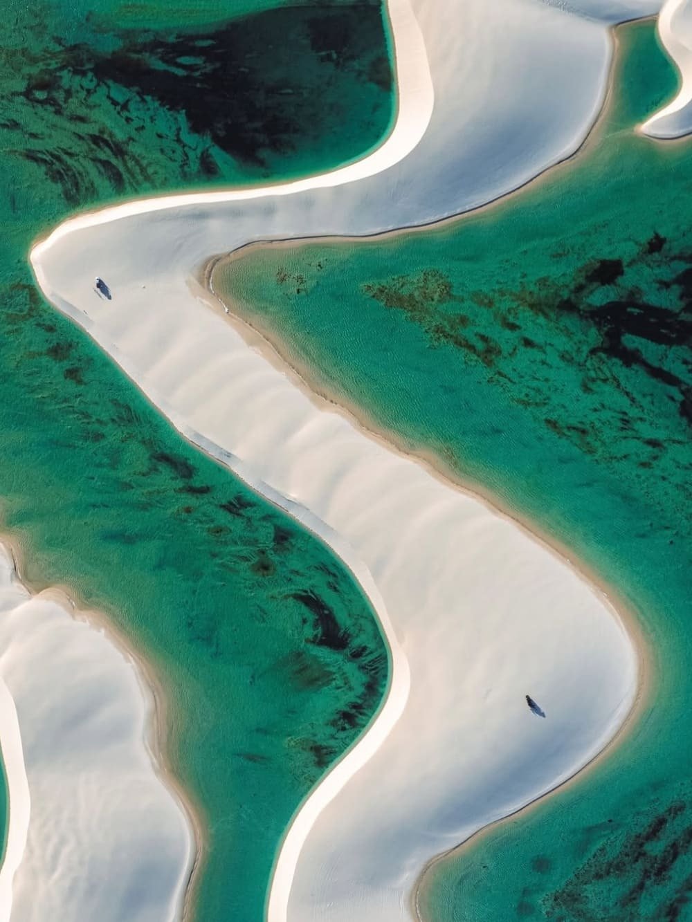 Two figures, two shadows — swallowed by the infinite geometry of sand and water. Aerial view of sinuous white sand ridges weaving through turquoise shallow water in Lençóis Maranhenses full itinerary territory, with two tiny human figures casting long shadows on the dunes