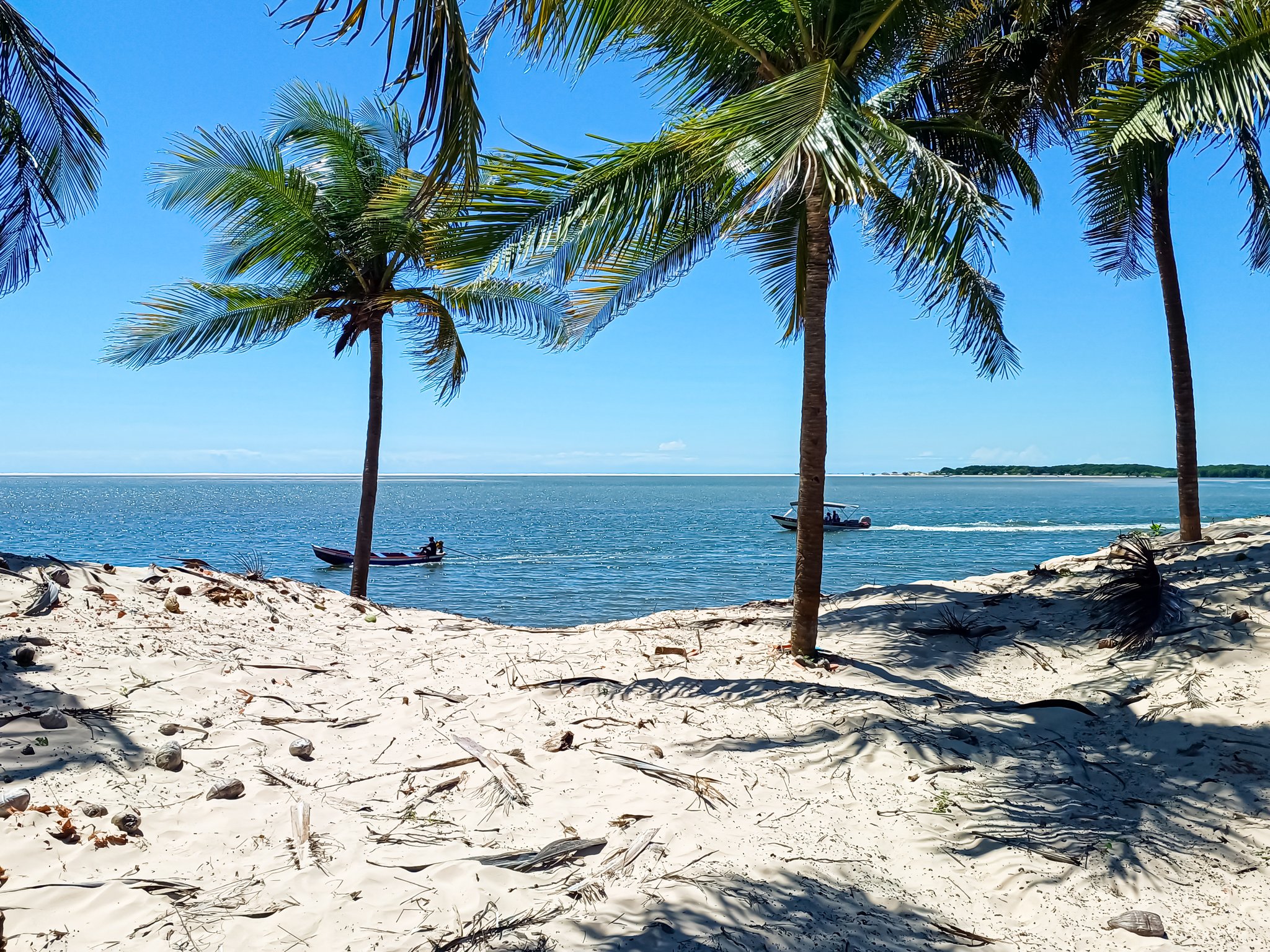 Speedboats skim the estuary while palm shadows stretch across brilliant white sand. Photo: JotaFoto Tall coconut palms framing a wide calm river estuary on the Lençóis Maranhenses full itinerary, with two small speedboats crossing the blue water and a sandy shoreline in the foreground