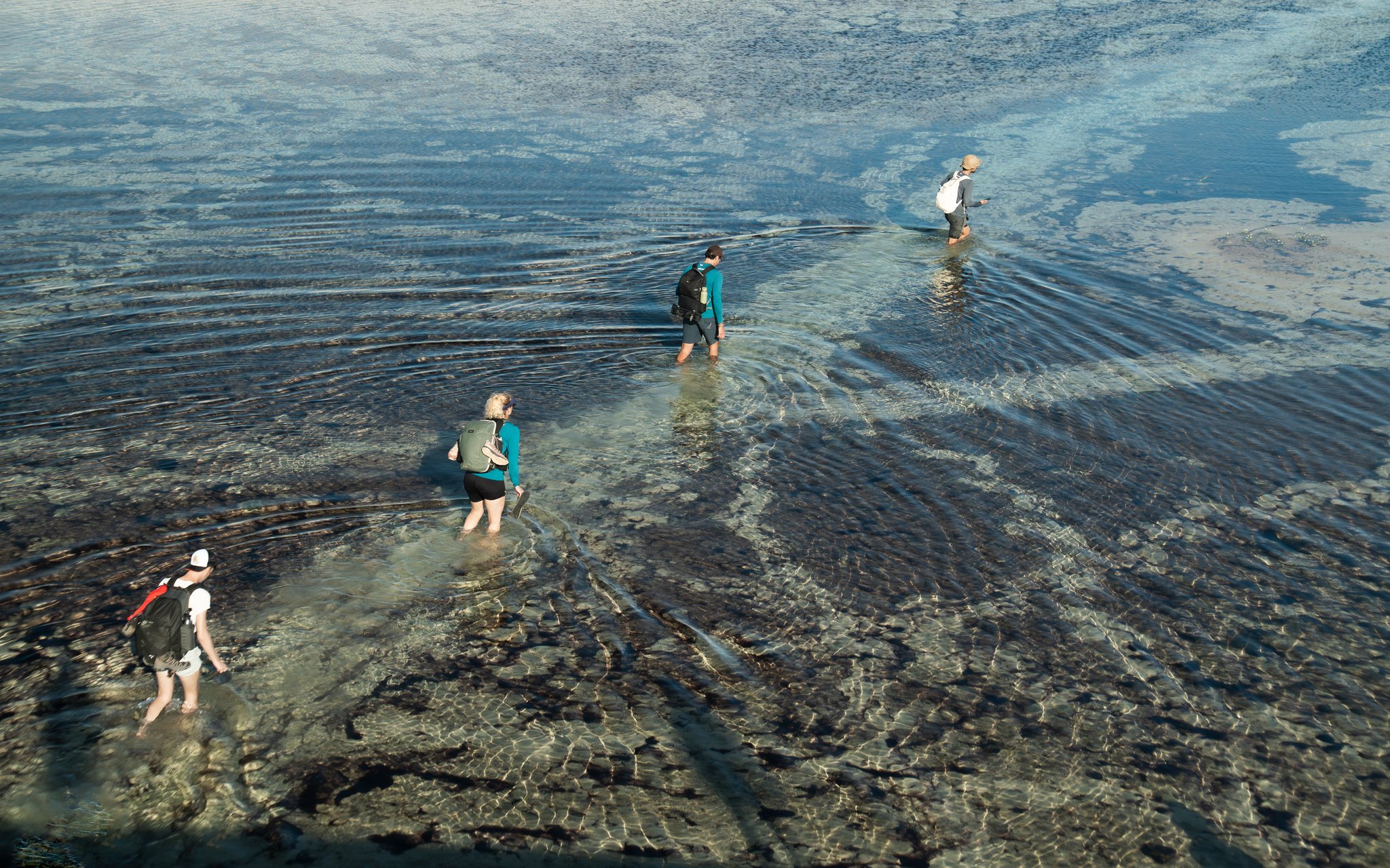 Knee-deep and moving — every step sends rings across the glass. Four hikers wading through shallow crystal-clear water on a Lençóis Maranhenses hike, their ripples spreading across the glassy surface as they cross in single file