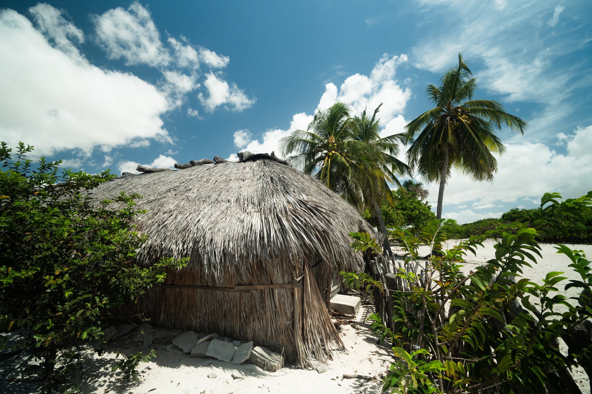 A round thatched-roof hut nestled among green shrubs on white sand, with tall palm trees and a bright blue sky — typical rustic shelter along the Lençóis Maranhenses hike