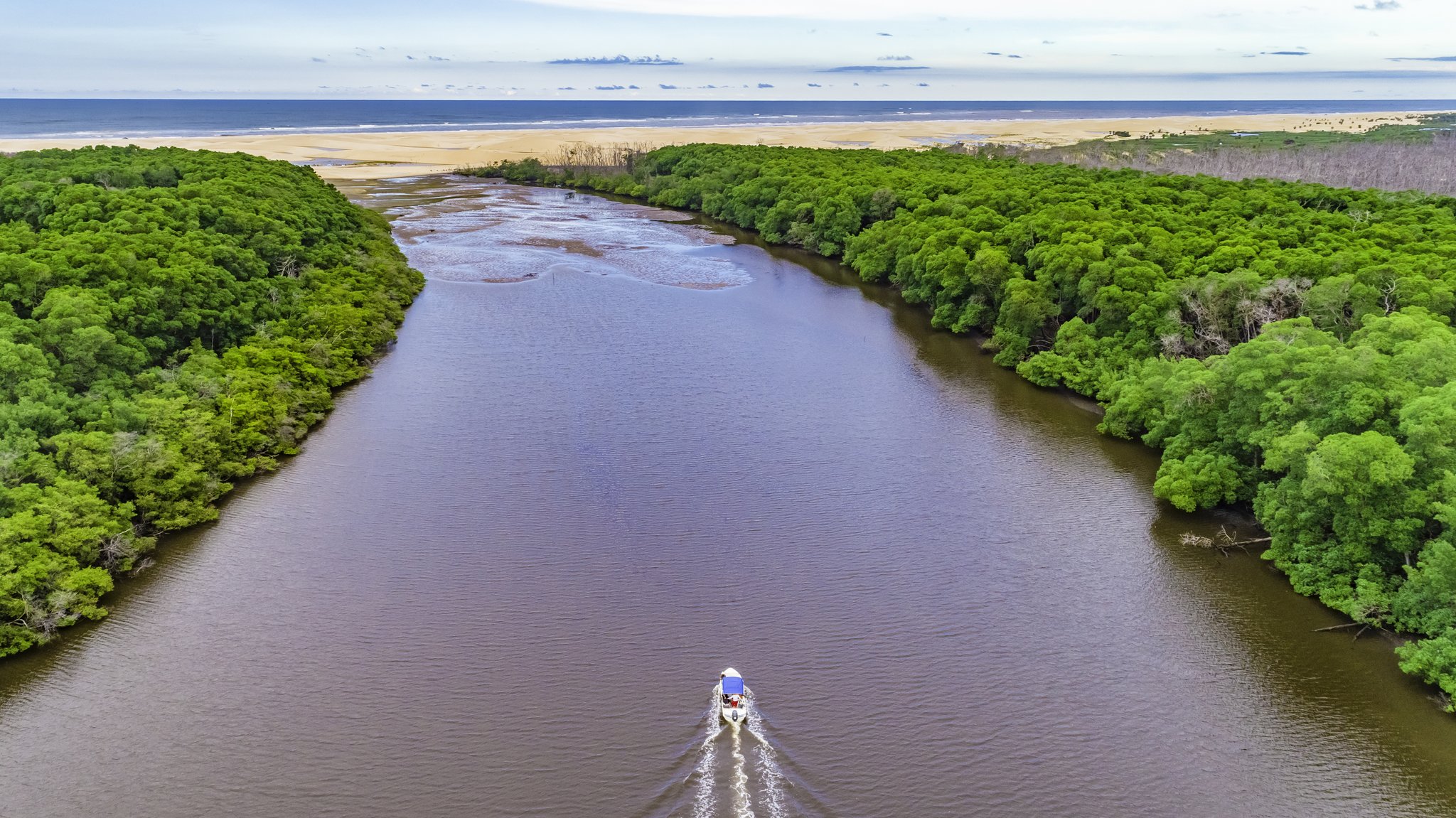 River, canopy, beach, and open ocean — all in one glance from above. Photo 3