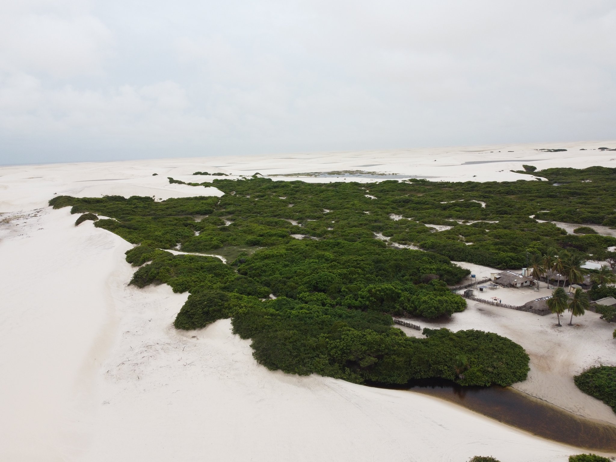Green against white — the hidden oasis awaits at the end of the trail. Photo: Baixa Grande Aerial view of a dense green vegetation patch surrounded by vast white sand dunes during a Lençóis Maranhenses trekking route, with a small settlement of thatched structures and palm trees visible at the edge of the oasis
