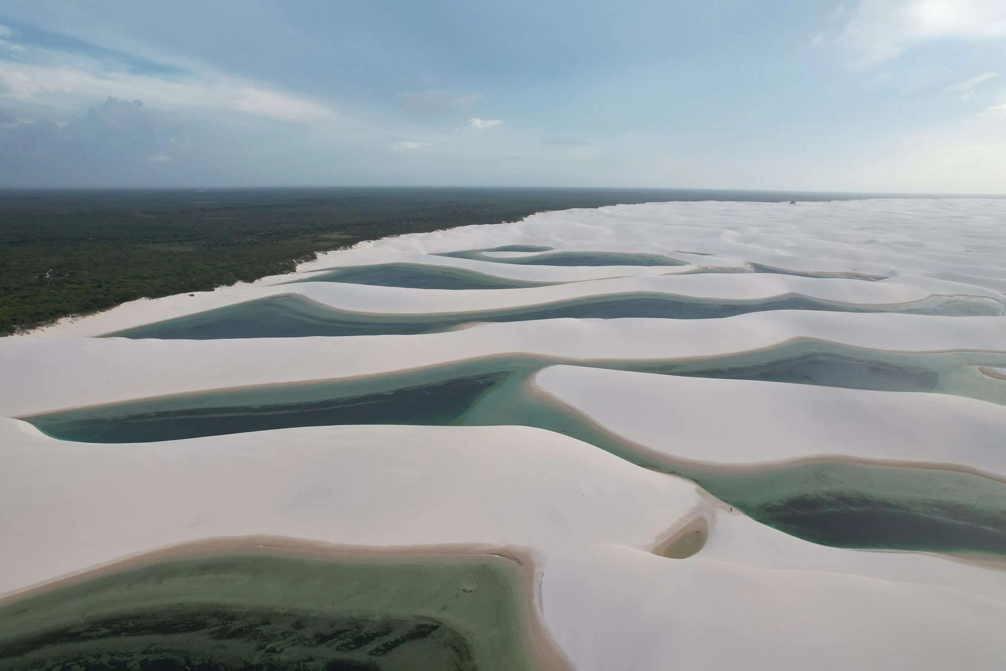 Rippled white dunes pooling turquoise between each crest — the scale only makes sense from above. Aerial view of the Lençóis Maranhenses trip landscape showing vast white sand dunes interspersed with turquoise-green freshwater lagoons stretching to a dark green tree line on the horizon