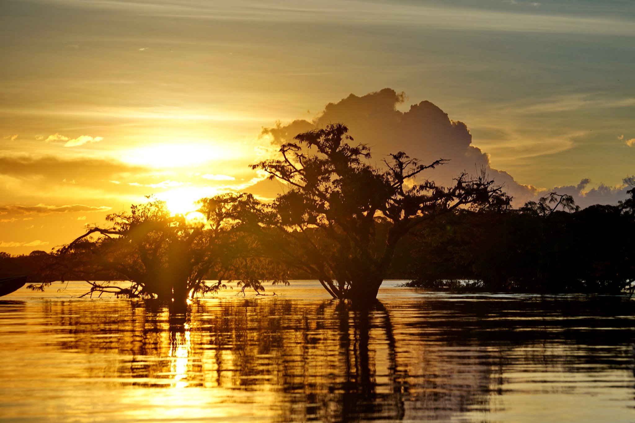 Silhouetted trees standing in a flooded river at golden sunset on a luxury Amazon cruise in Brazil, their reflections shimmering across calm dark water beneath a towering cumulonimbus cloud