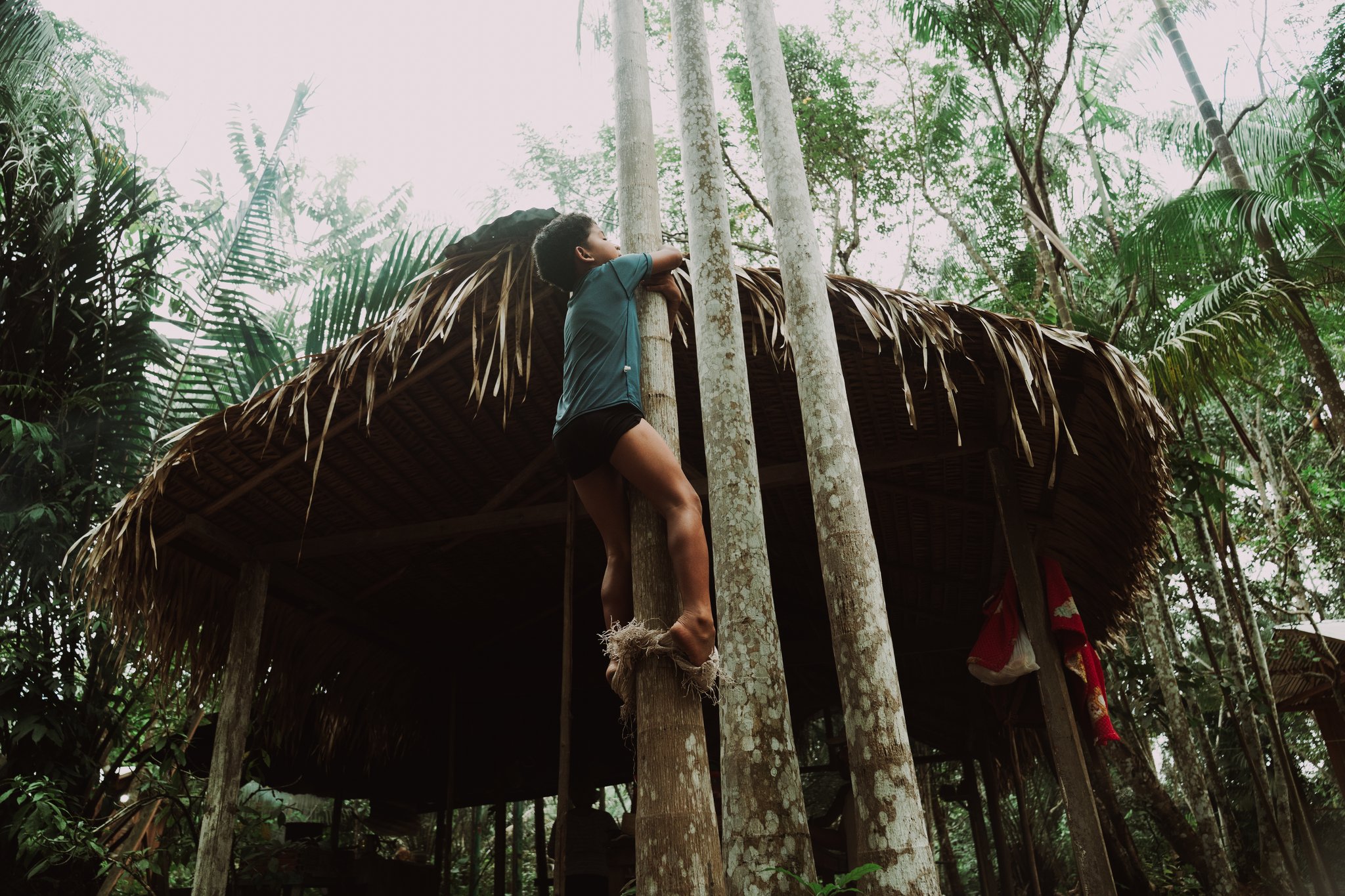 A young person climbs a wooden post of a traditional thatched-roof hut surrounded by lush tropical forest on a luxury Amazon cruise in Brazil