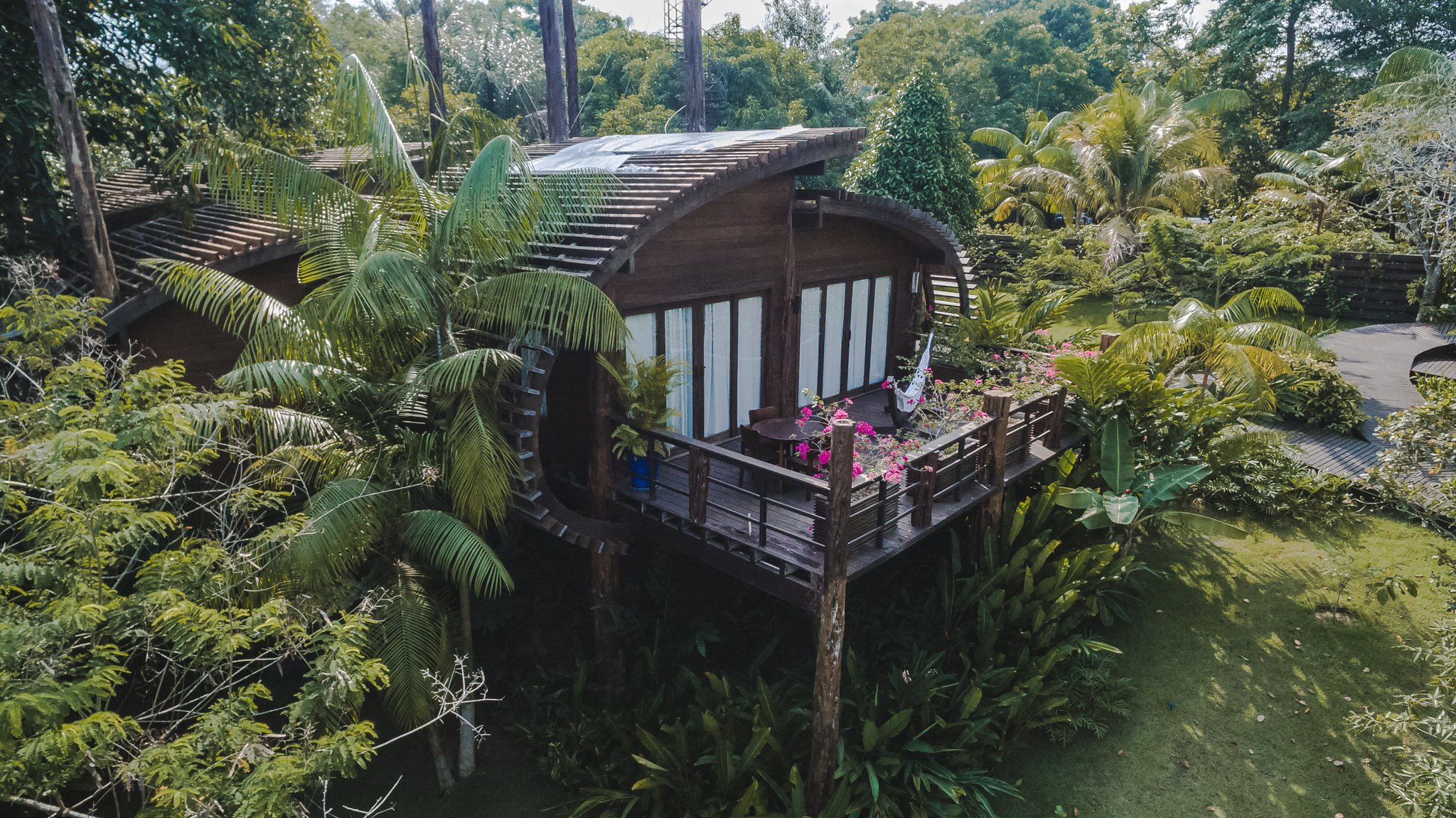 An aerial view of a curved hardwood treehouse cabin at a luxury Amazon lodge in Brazil, its elevated deck adorned with pink bougainvillea and a hammock, surrounded by dense tropical rainforest canopy