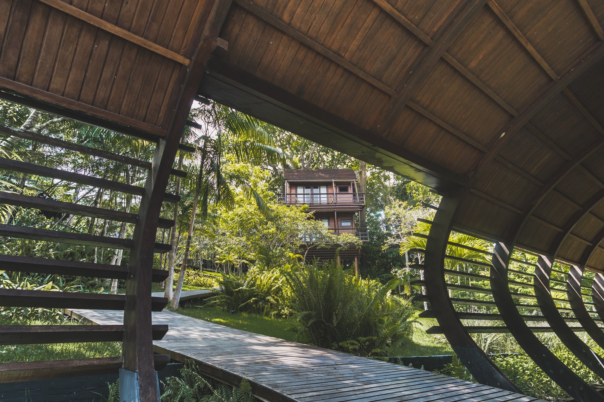 A wooden boardwalk leads through lush tropical greenery toward a multi-storey timber treehouse at a luxury amazon lodge in Brazil, framed by the curved slat walls and thatched roof of a nearby pavilion