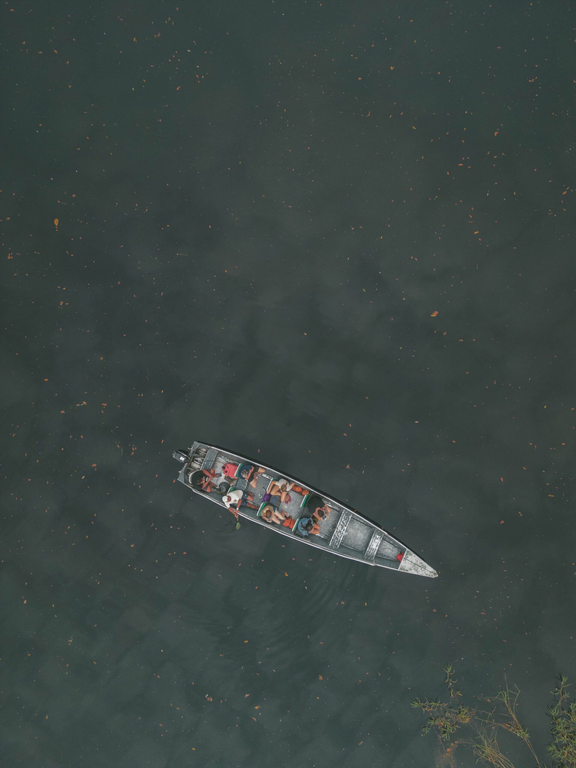 Small boat, vast river — the scale of Amazônia hits differently from above. Aerial top-down view of a narrow motorized canoe carrying a group of passengers across dark, leaf-speckled water on a manaus jungle tour