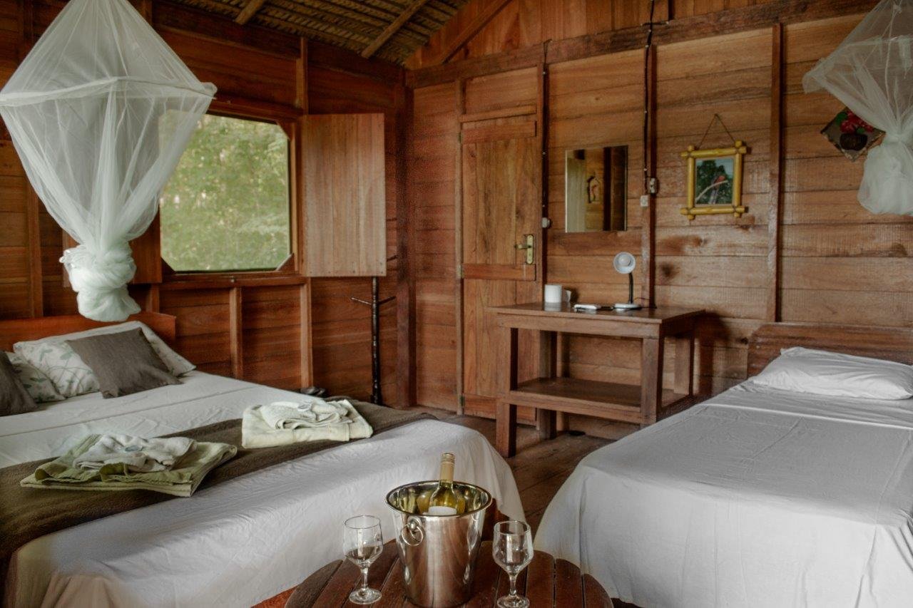 Crisp linens, candlelight, and a chilled bottle waiting — rustic comfort deep in the rainforest. Twin-bed jungle lodge room with white mosquito nets, warm timber walls, a wine bottle chilling in an ice bucket, and a window overlooking forest greenery — typical accommodation on a manaus jungle tour