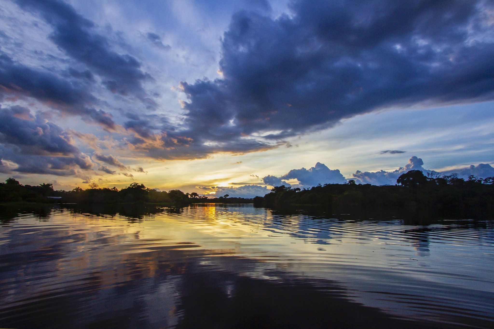 Storm clouds and gold — the Amazon sky puts on a show every evening. Photo: David Nascimento @ Dramatic sunset over a wide rainforest river on a manaus jungle tour, with deep blue storm clouds, golden reflections rippling across calm dark water, and silhouetted trees lining both banks