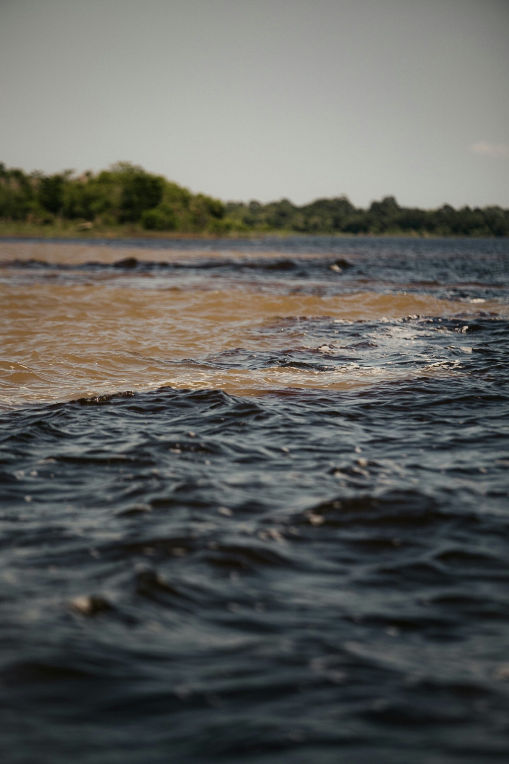 Dark blackwater and sandy-brown whitewater rivers meeting side by side on a manaus jungle tour, with lush green forest lining the far bank