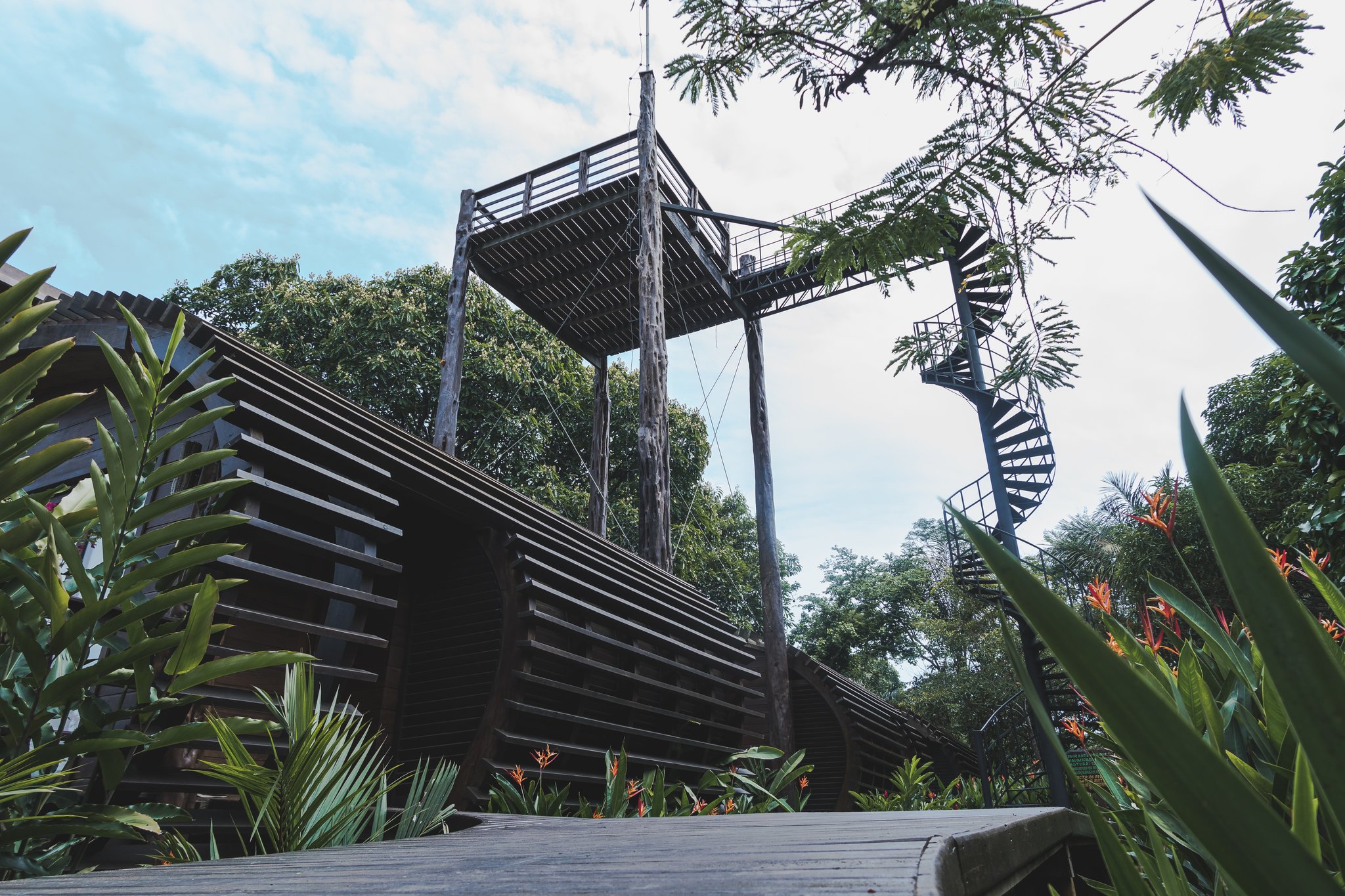 Rise above the canopy — the iconic tower at Mirante do Gavião awaits. Low-angle view of the Mirante do Gavião wooden observation tower rising above lush Amazon rainforest vegetation, with a spiral metal staircase and bird's-eye viewing platform against a partly cloudy sky
