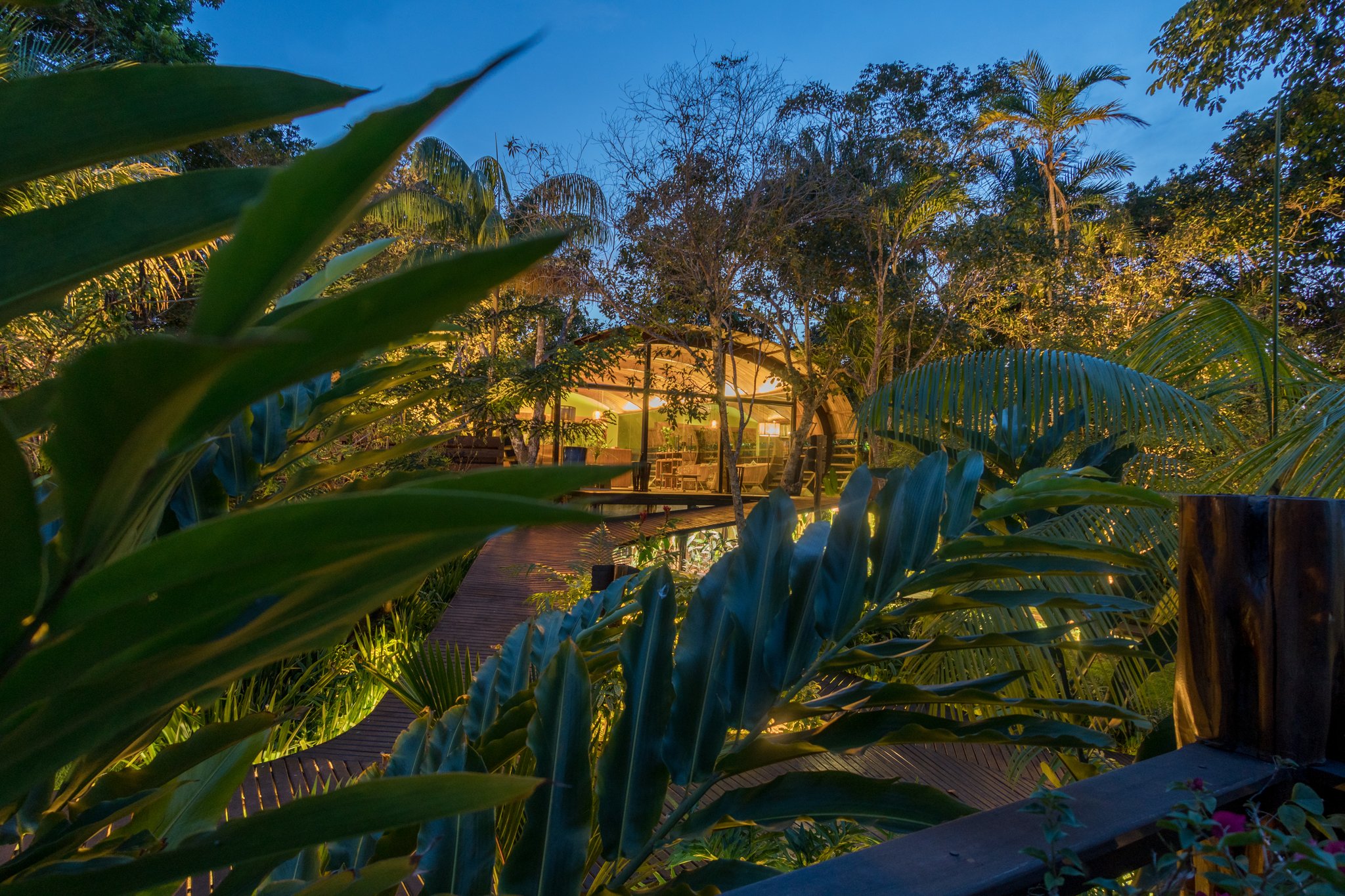 Warm lights beckon through the jungle as night falls over the lodge. Mirante do Gavião lodge glowing warmly at dusk, seen through lush tropical foliage along a wooden boardwalk surrounded by Amazon rainforest trees