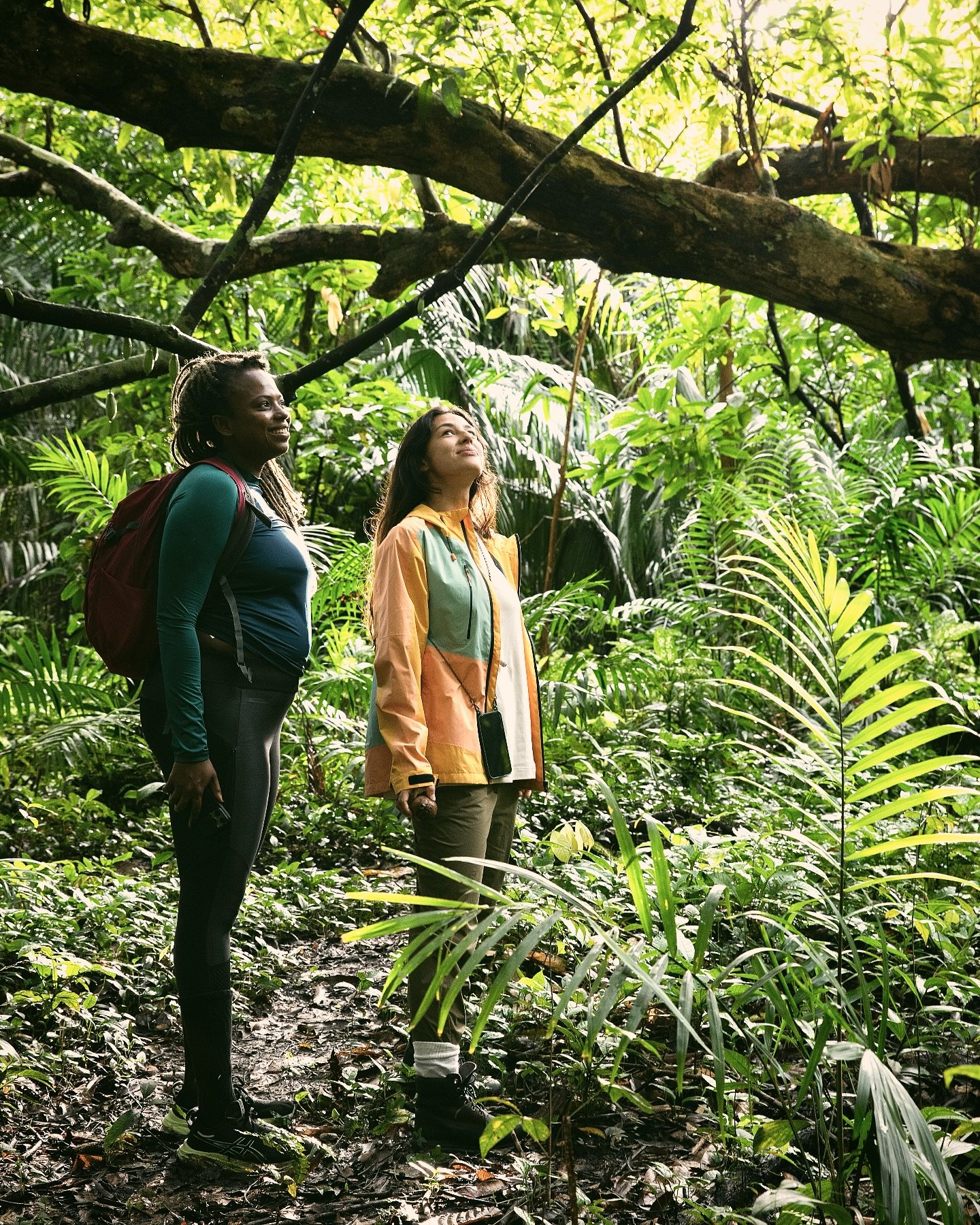 Lost in the green — every trail at Mirante do Gavião tells a story. Two women stand on a forest trail at Mirante do Gavião, gazing up through a canopy of lush Amazon rainforest palms and overhanging branches