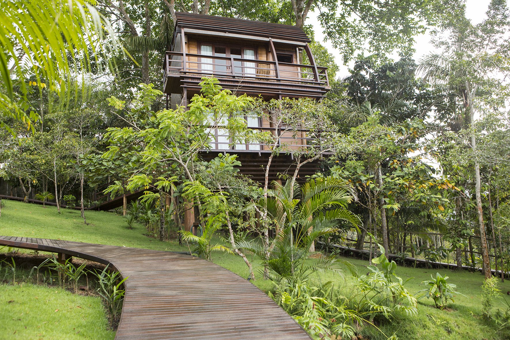 Where the rainforest begins — your private walkway into the Amazon. A curved wooden boardwalk leads through lush Amazon greenery toward the multi-storey timber Mirante do Gavião lodge elevated among the trees