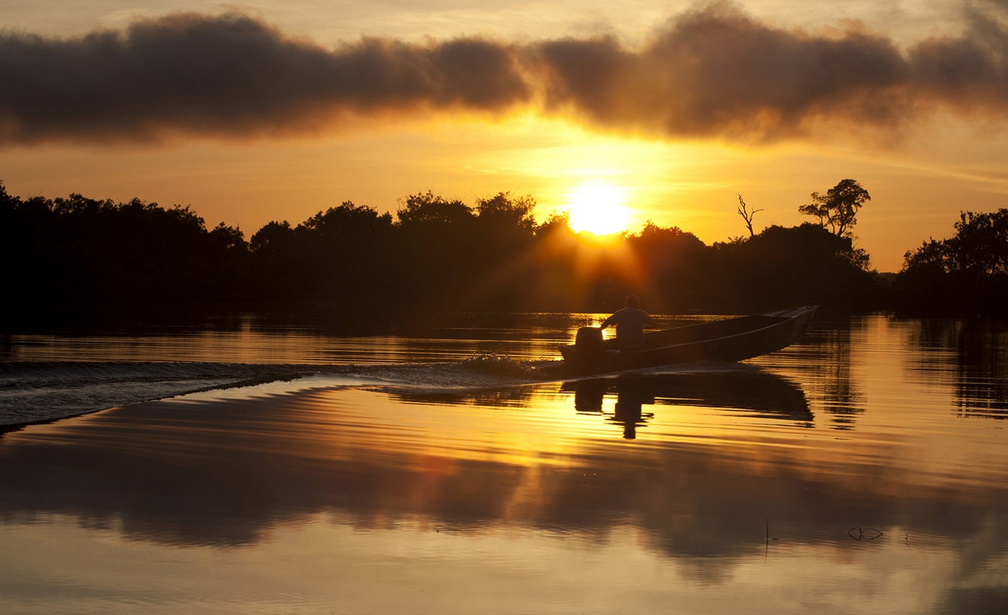 Pure Amazon gold — drifting into dusk on the Rio Negro. Silhouette of a person piloting a motorboat across the glassy Rio Negro at golden sunset, with jungle treetops lining the horizon near Mirante do Gavião