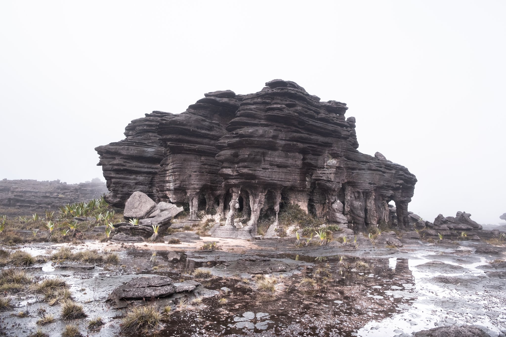 Layered sandstone rock formation rising from the wet tepui plateau on a Mount Roraima hike, with bromeliad rosettes scattered across the foreground and thick mist dissolving the horizon