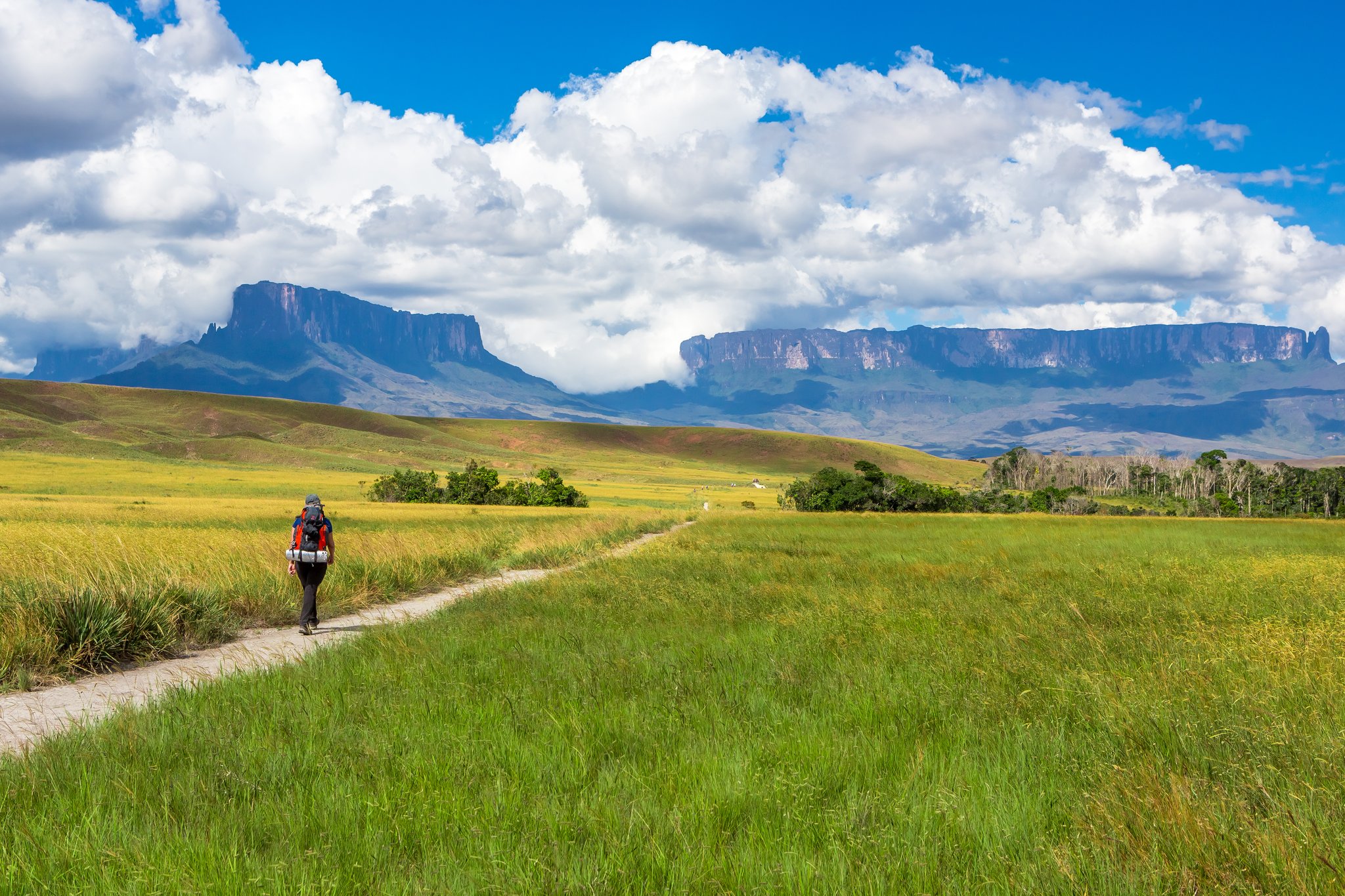A lone backpacker walks a dirt trail through vast golden and green grasslands on the Mount Roraima hike, with the flat-topped tepui massif rising dramatically under billowing cumulus clouds