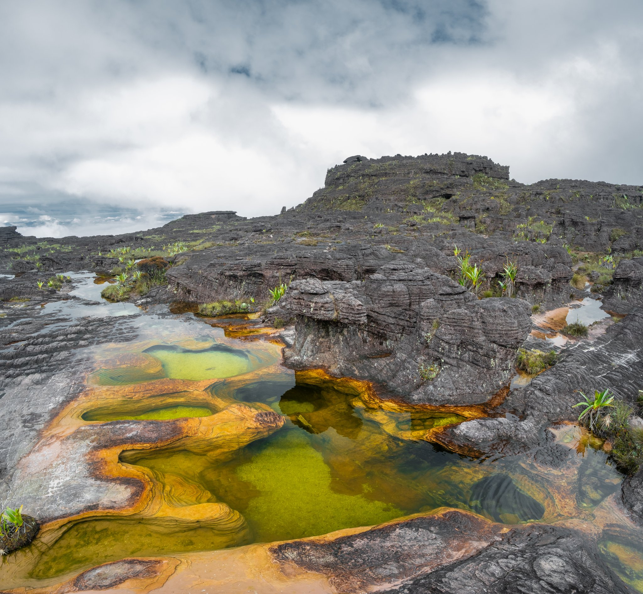 Vivid green and amber-stained natural rock pools on the summit plateau of the Mount Roraima hike, with layered sandstone formations and low clouds rolling in overhead
