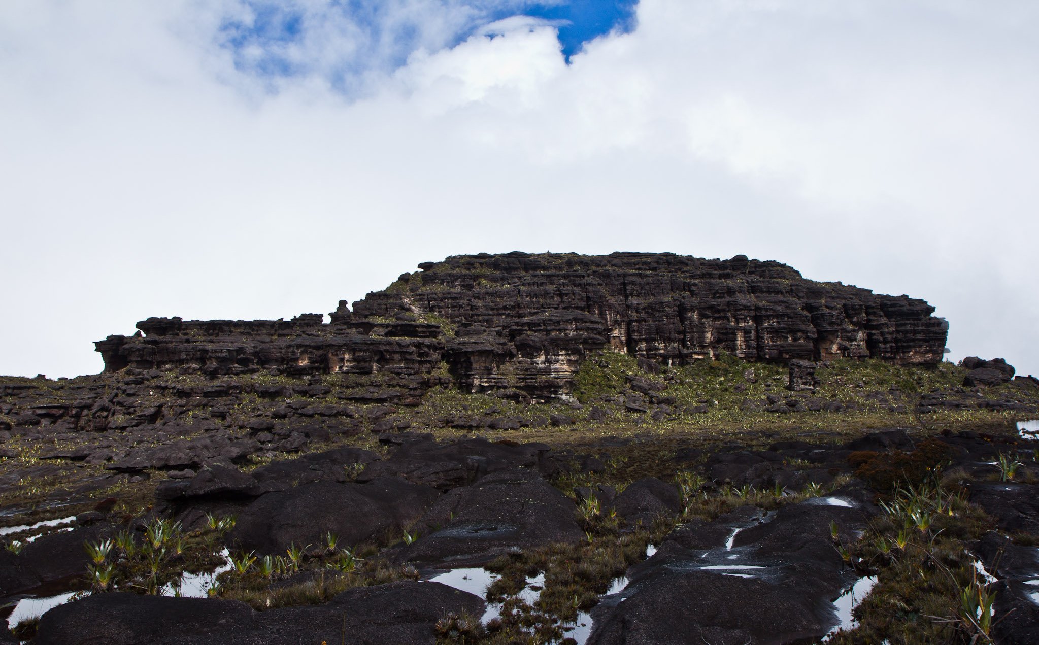 Layered black sandstone cliff face of Mount Roraima rising above rain-pooled plateau rocks and scattered endemic plants under a partly cloudy sky