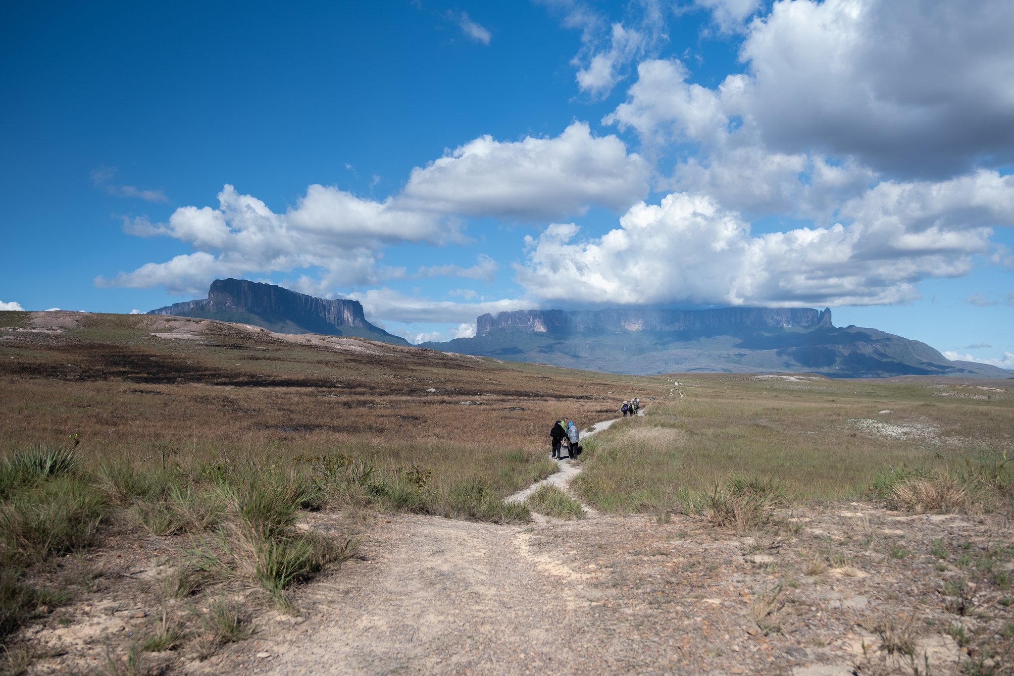 A group of trekkers follows a narrow dirt path across open savannah grassland on the Mount Roraima trek, with two massive flat-topped tepuis rising sharply against a blue sky in the background