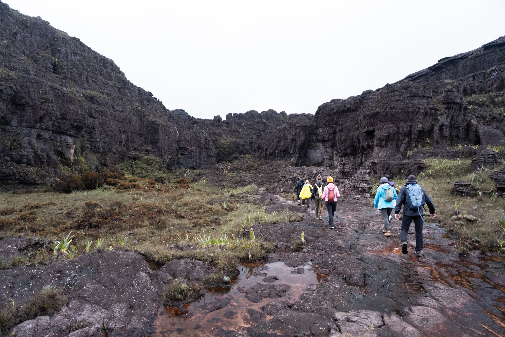 A group of hikers in rain gear crossing wet black sandstone on the Mount Roraima trek, moving toward dramatic ancient cliff walls rising on either side of a narrow highland valley