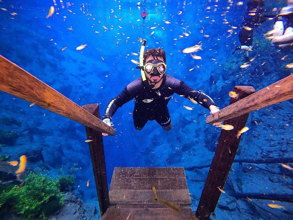 Fins on, fish all around — diving into Bonito's underwater world. A snorkeler in a wetsuit and yellow mask descends a wooden staircase into the electric-blue waters of a crystal-clear river on a Pantanal Bonito tour, surrounded by dozens of small golden fish