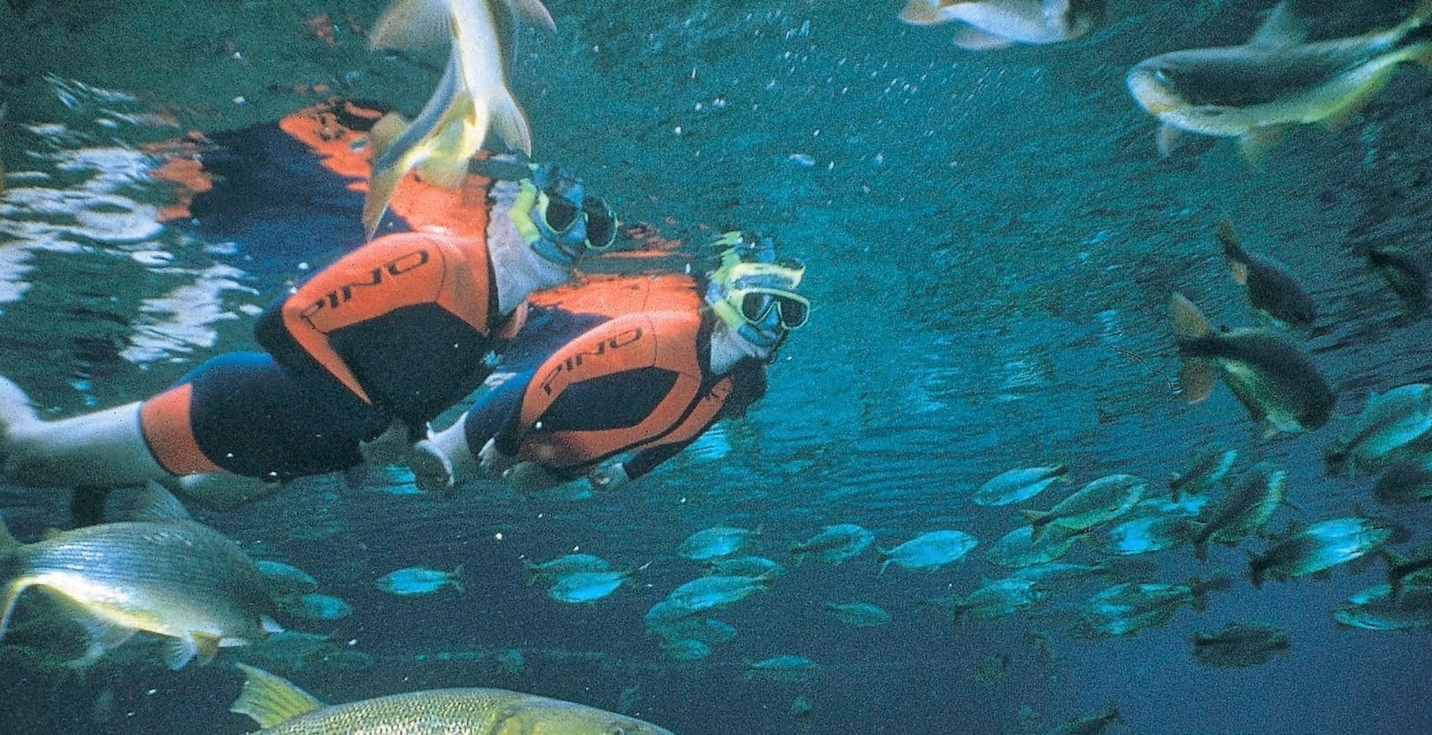A snorkeler in an orange wetsuit glides at the surface surrounded by a dense school of fish in crystal-clear river water on a Pantanal Bonito tour