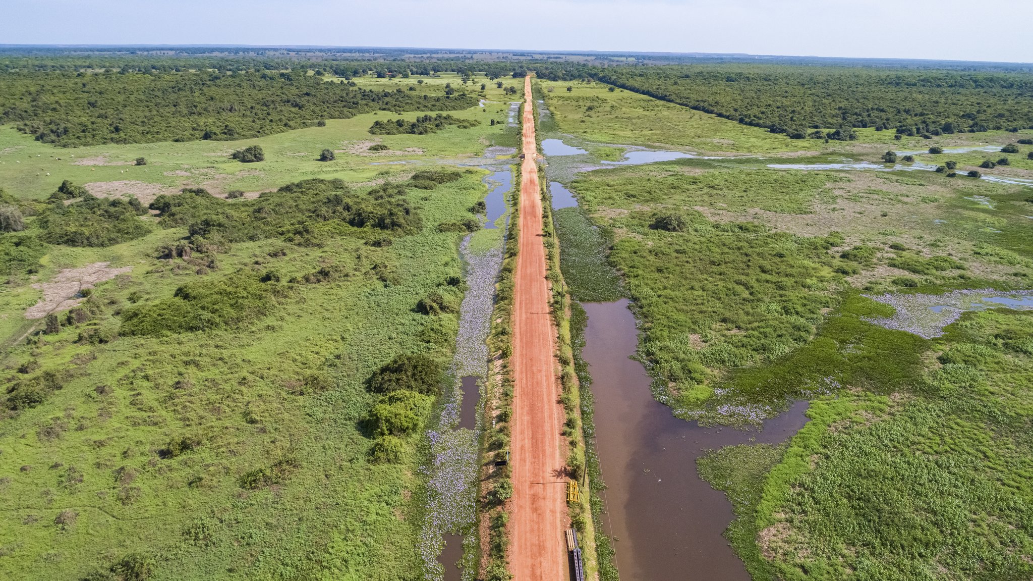 Ruler-straight across a flooded world — the Transpantaneira cuts through the wetlands on the way to Porto Jofre. Photo: Uwe-Bergwitz Photo 1