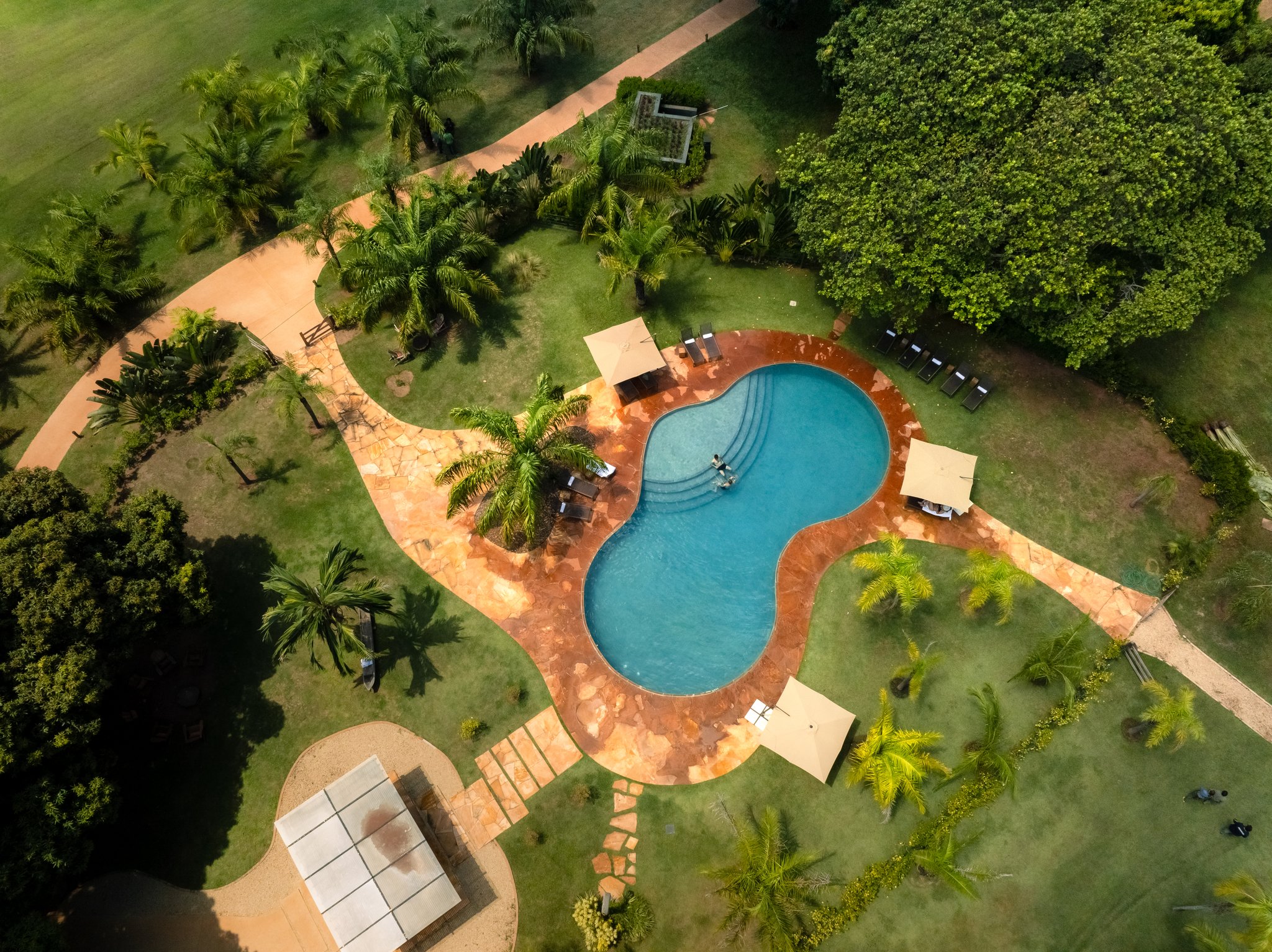 A freeform pool tucked into tropical gardens — cool water waiting after a morning in the wild. Photo: Matias Ternes Aerial view of a freeform swimming pool surrounded by terracotta stone decking, sun loungers, shade umbrellas, and lush tropical gardens at a pantanal luxury safari lodge
