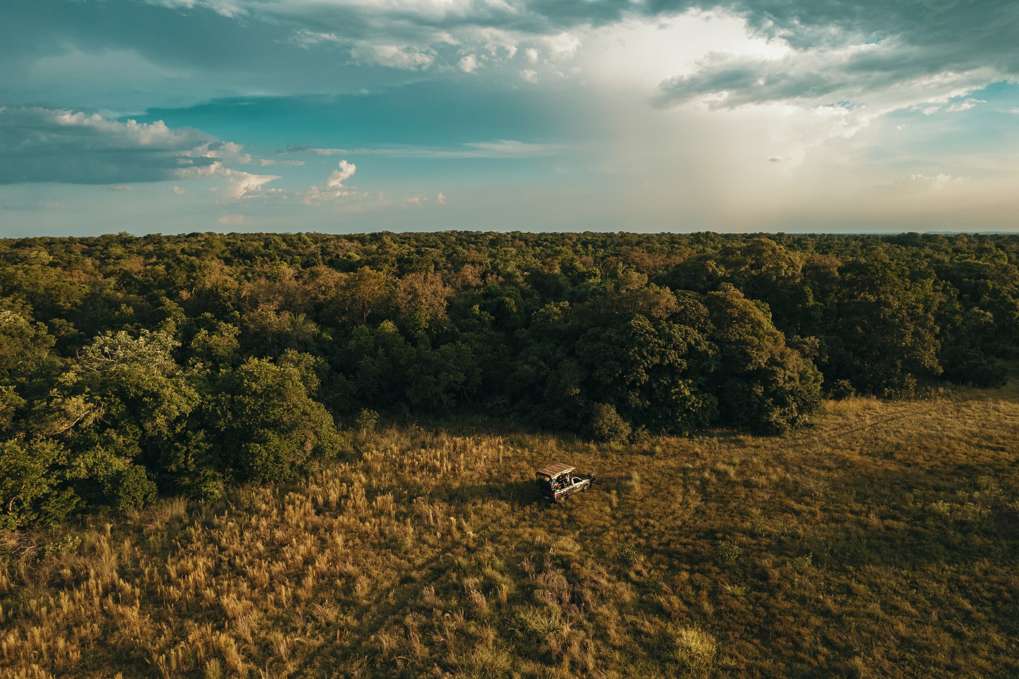 One vehicle, an ocean of green — the Pantanal keeps its scale. Photo: Felipe Castellari Aerial view of a safari vehicle dwarfed by vast golden grassland and dense woodland canopy during a pantanal luxury safari