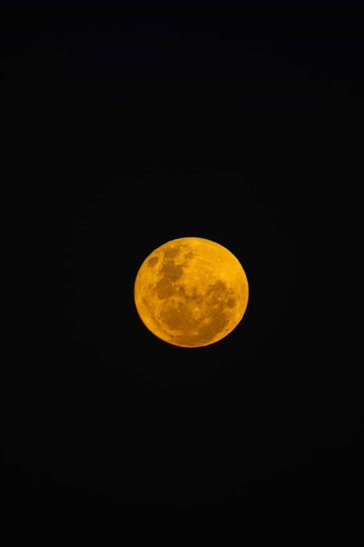 Full and amber — the Pantanal night sky at its most spellbinding. A glowing amber full moon hangs against a pitch-black sky during a pantanal luxury safari night outing