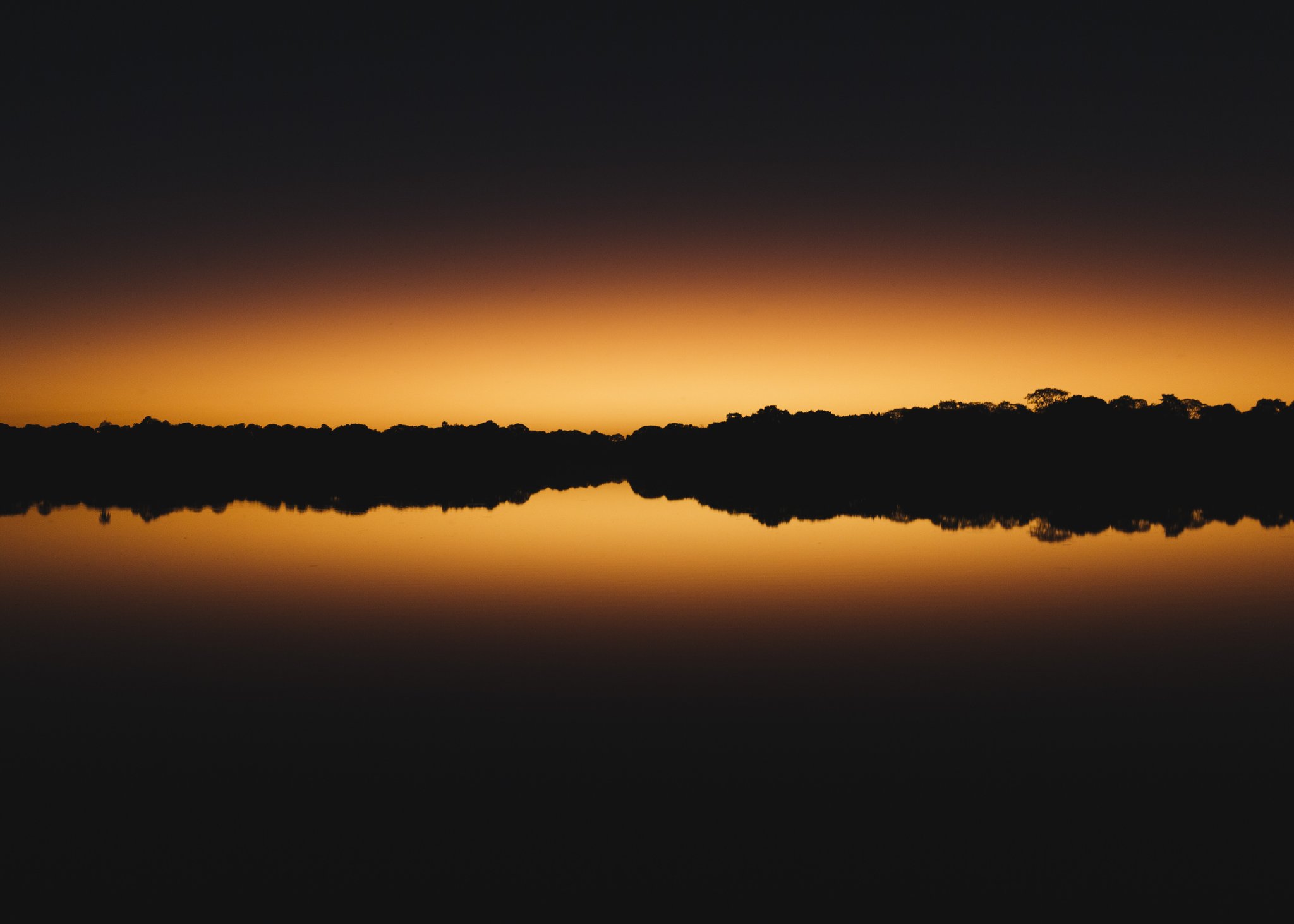 Amber burns at the horizon, mirrored without a ripple. Silhouetted treeline reflected perfectly in still water under a glowing amber horizon during a pantanal luxury safari at dusk