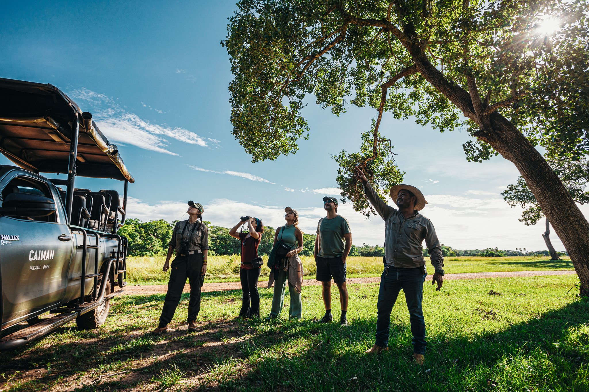 Guide, guests, and one compelling tree — curiosity stops the vehicle every time. Photo: Felipe Castellari A local guide points into the canopy of a tree while guests on a pantanal luxury safari look up and use binoculars, parked beside a Caiman Pantanal safari vehicle in open grassland