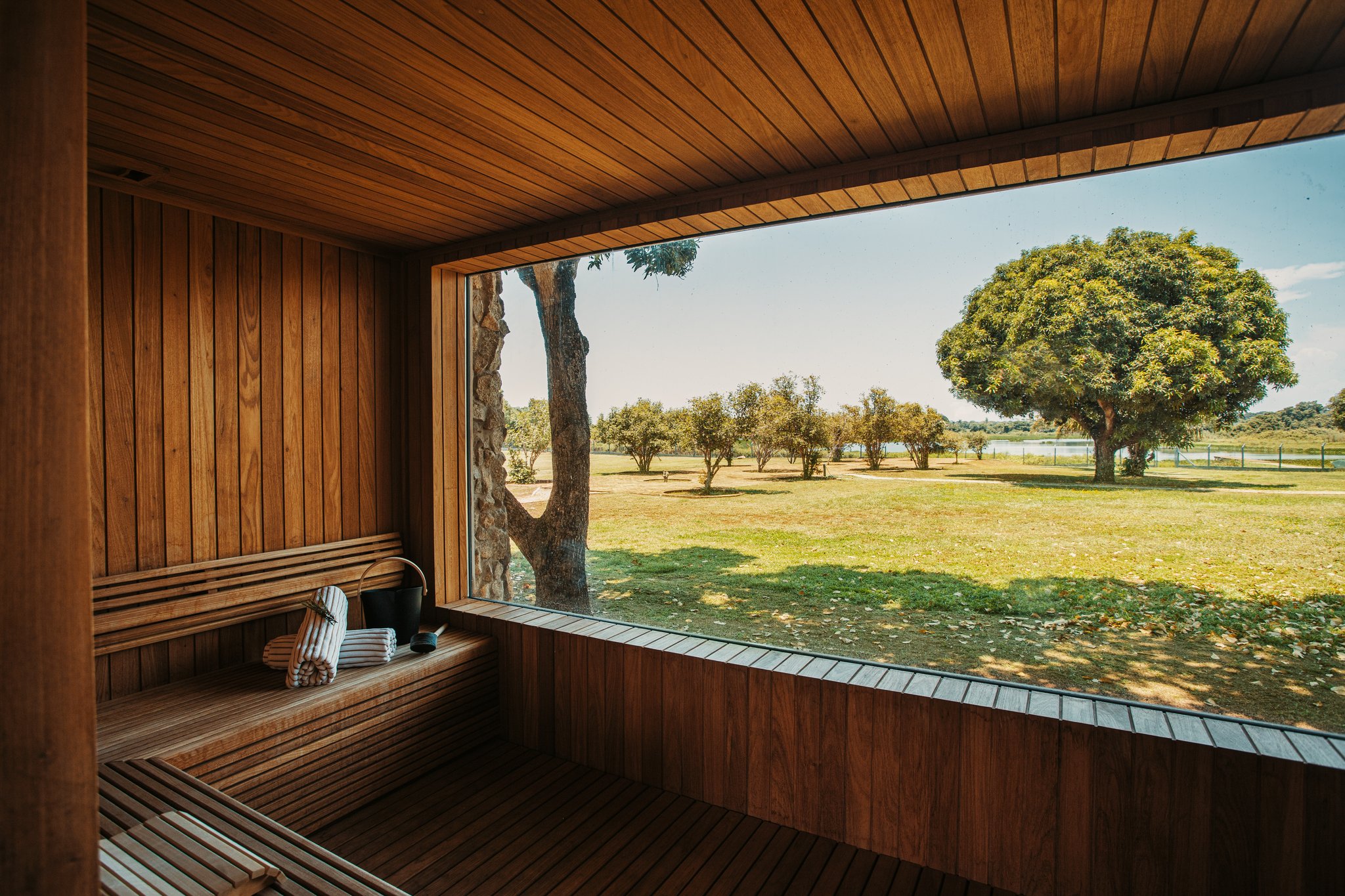 Steam, stillness, and an unbroken view of the wild beyond the glass. Timber-lined sauna interior at a pantanal luxury safari lodge, with a wide picture window framing a sunlit lawn, scattered trees, and a distant lake
