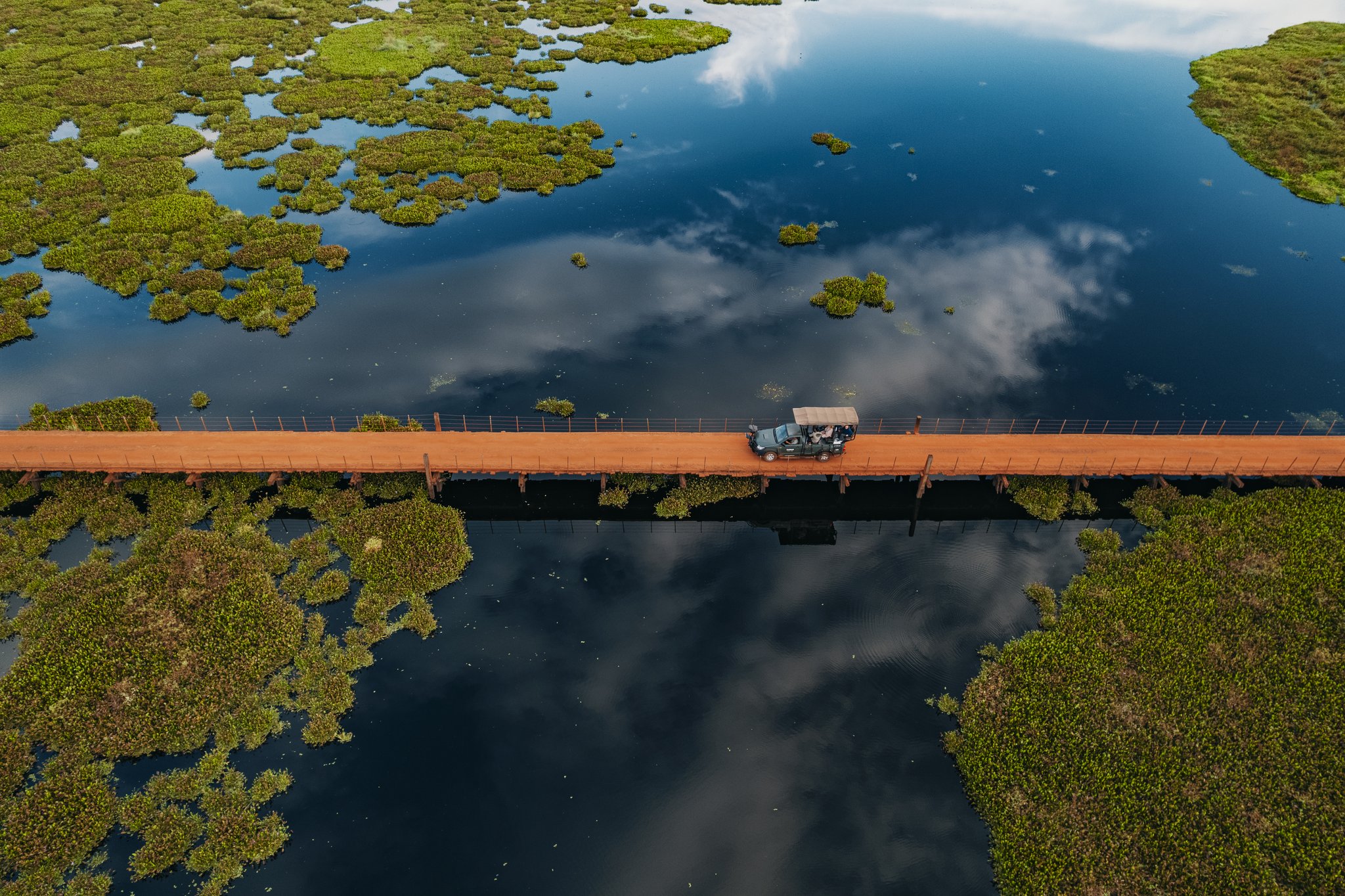 Sky and wetland merge below — a safari vehicle traces its way across the floodplain. Photo: Felipe Castellari Aerial view of a safari vehicle crossing a red-earth bridge over mirror-still flooded wetlands scattered with green aquatic vegetation during a pantanal luxury safari