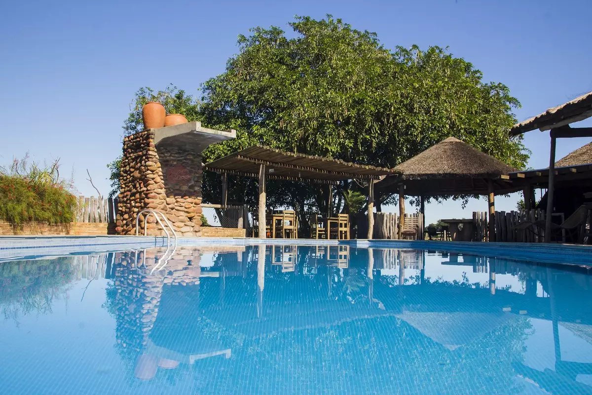 Cool blue water, thatched shade, and total wilderness quiet — the lodge pool after a morning safari. A calm outdoor swimming pool at a Pantanal tour from Campo Grande ecolodge, framed by a stone-column feature, thatched-roof shaded dining area, and a large tree under a clear blue sky