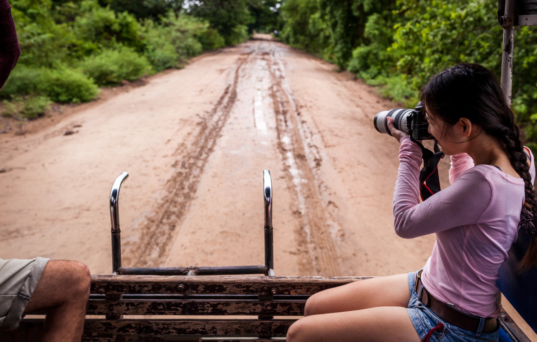 Telephoto ready, red earth stretching ahead — every bend could bring a new sighting. Photo: nok6716 A traveller shoots with a telephoto lens from the back of an open 4x4 vehicle on a red dirt road lined with green forest during a pantanal tour from campo grande
