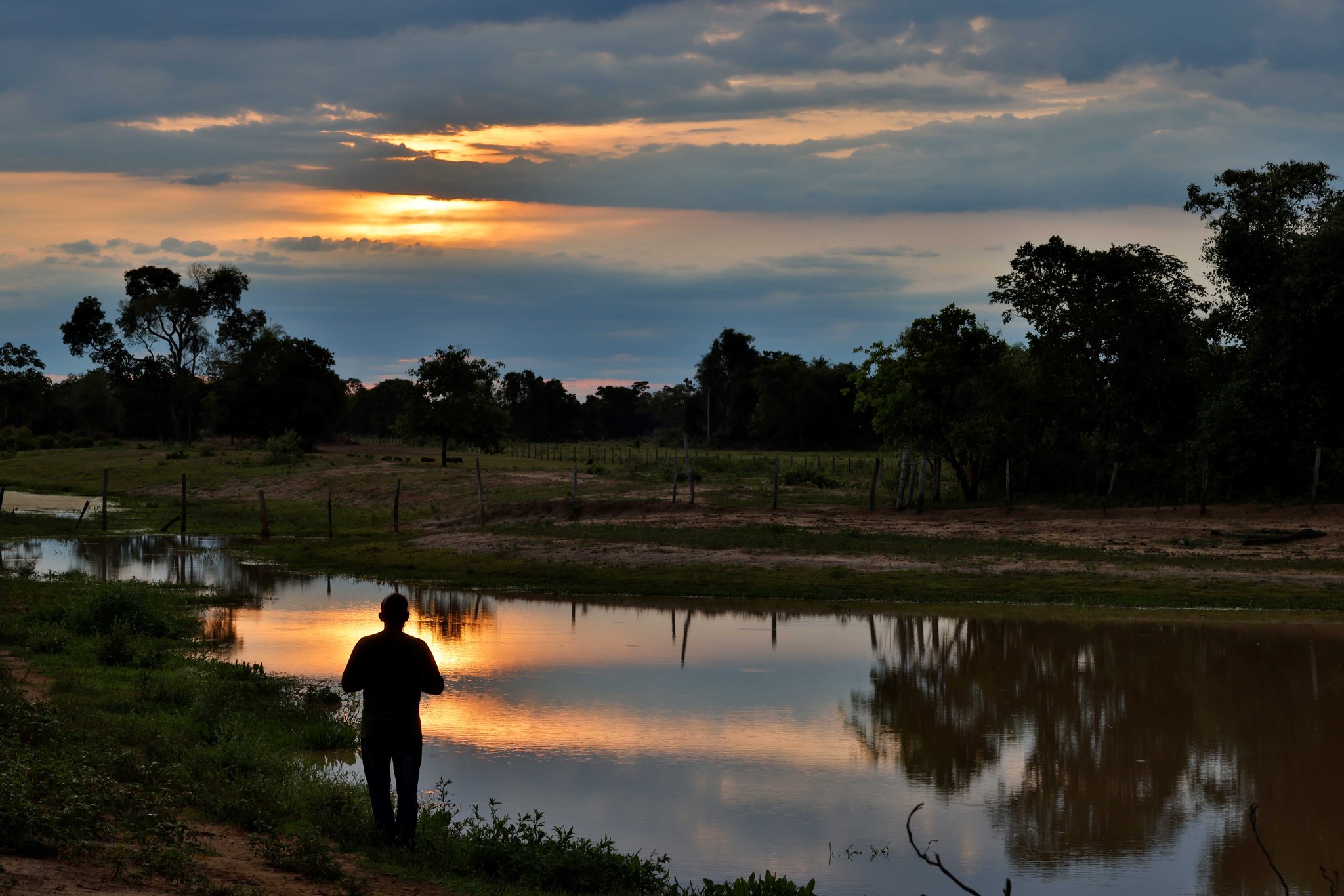 Still water, burning sky — a moment of quiet at the end of a long Pantanal day. A silhouetted figure stands at the edge of a still pond reflecting a vivid orange sunset sky, surrounded by trees and open wetland on a pantanal tour from campo grande