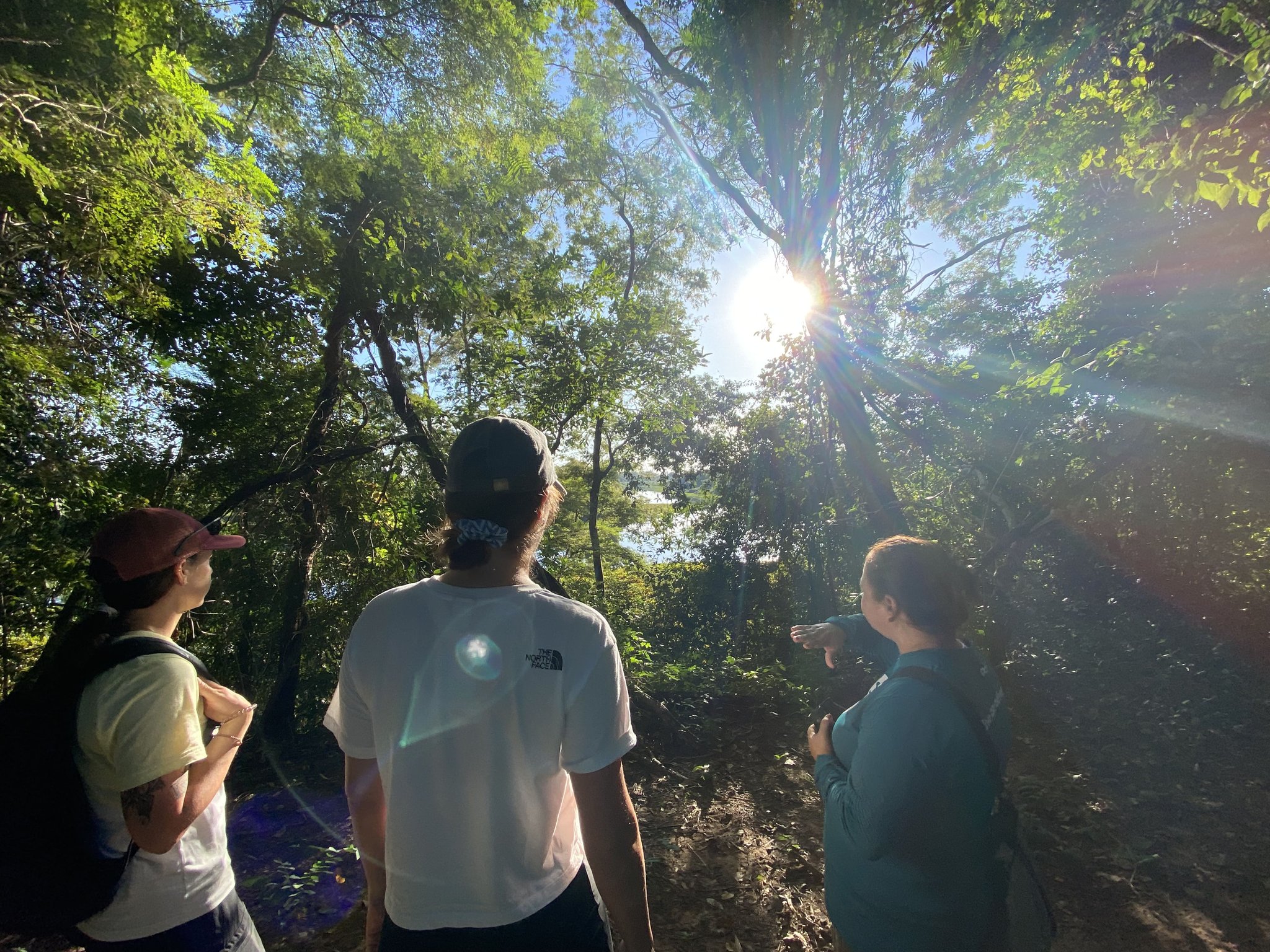 Sunlight breaking through the canopy — the forest holds everyone's attention. Three visitors pause on a Pantanal Tour from Cuiabá, gazing up through sun-drenched forest canopy as golden light bursts between the treetops