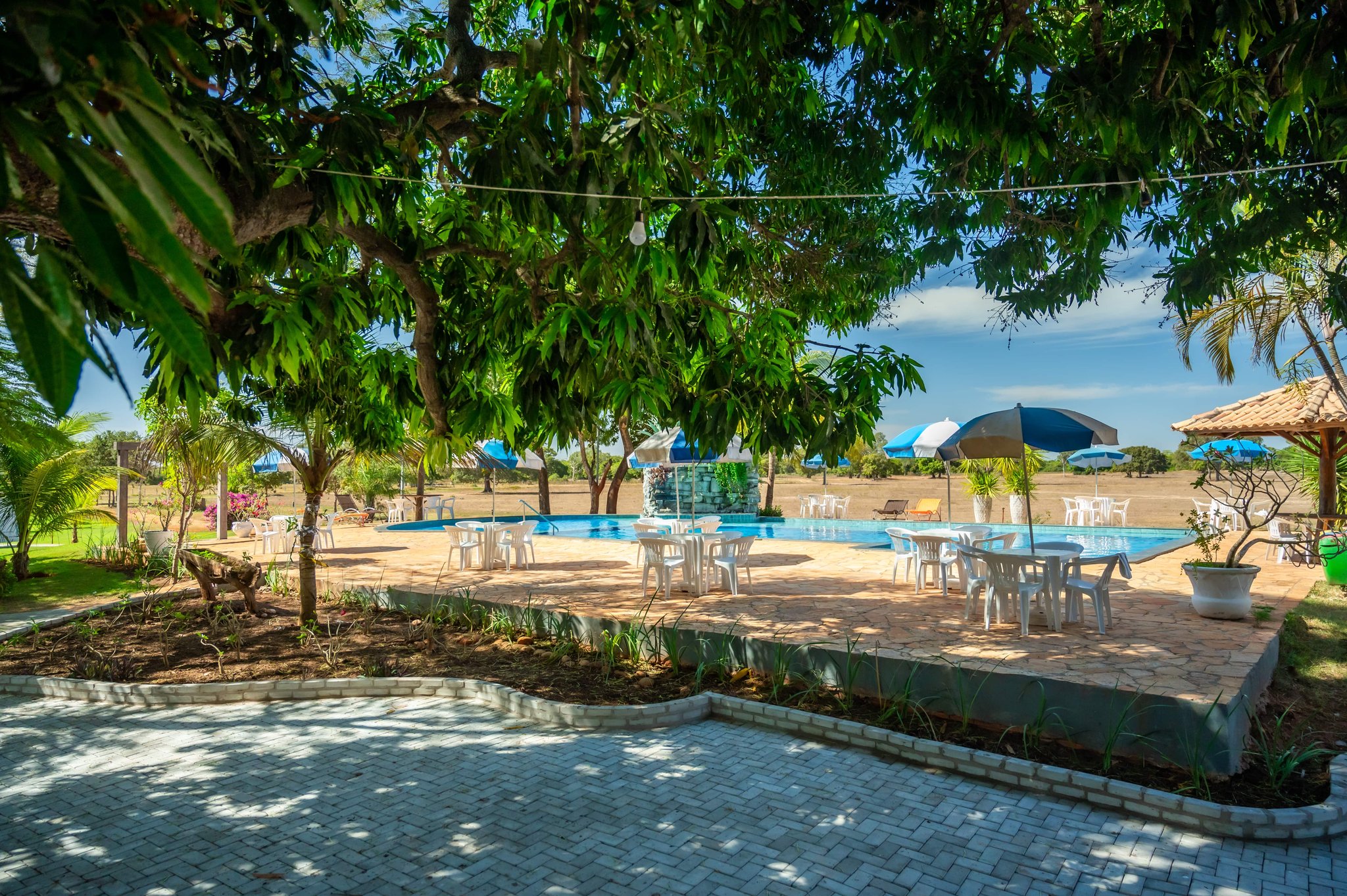 Cool shade, open water, and the savanna stretching to the horizon — rest well earned. Shaded pool terrace with white patio furniture and colourful umbrellas at a Pantanal Tour from Cuiabá lodge, surrounded by leafy trees and open savanna beyond