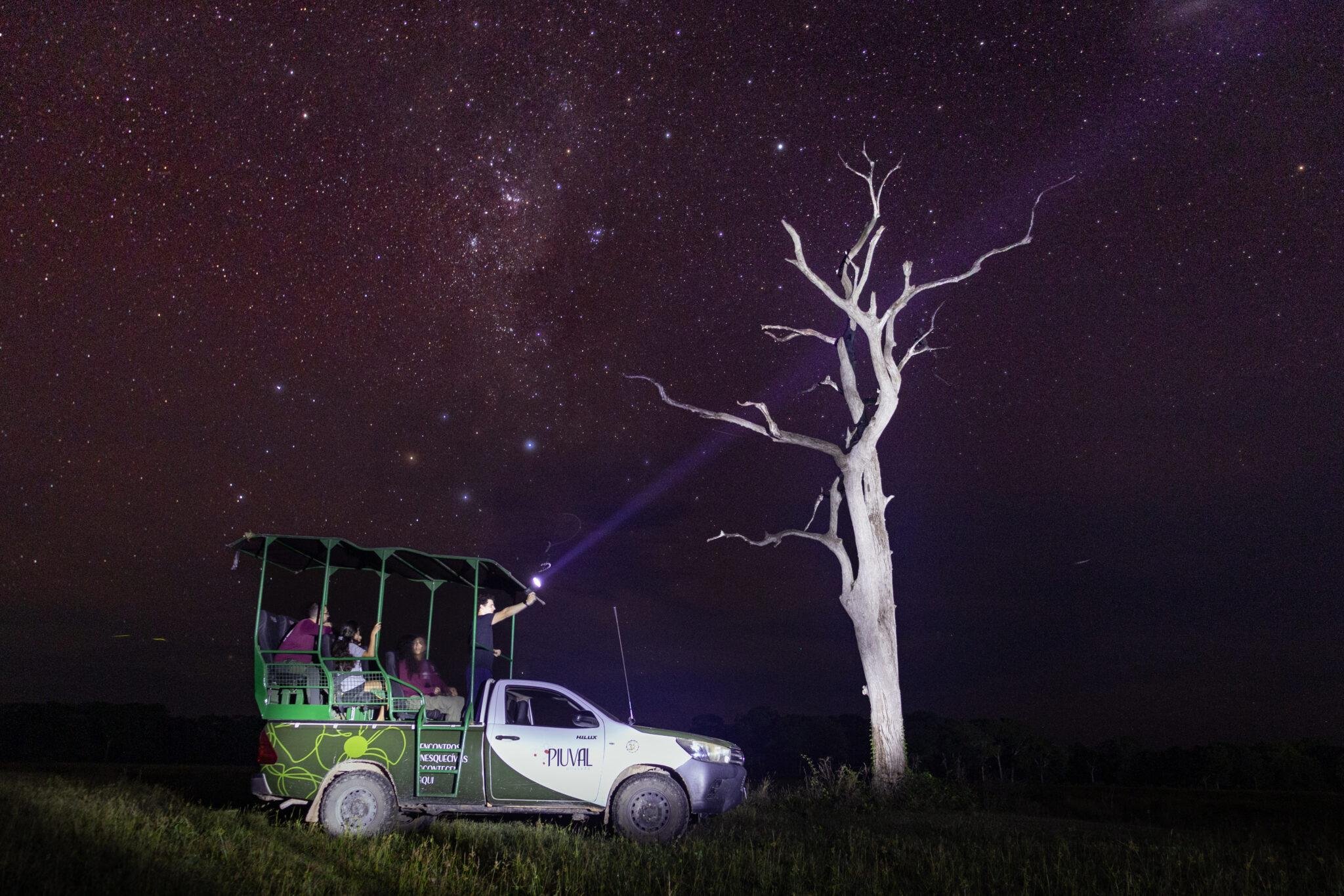 Millions of stars, one spotlight, and the Pantanal spreading out in every direction. A group of ecotourists aboard an open 4x4 safari vehicle on a Pantanal Tour from Cuiabá, with a guide pointing a spotlight beam toward a bare white tree under a brilliant Milky Way sky