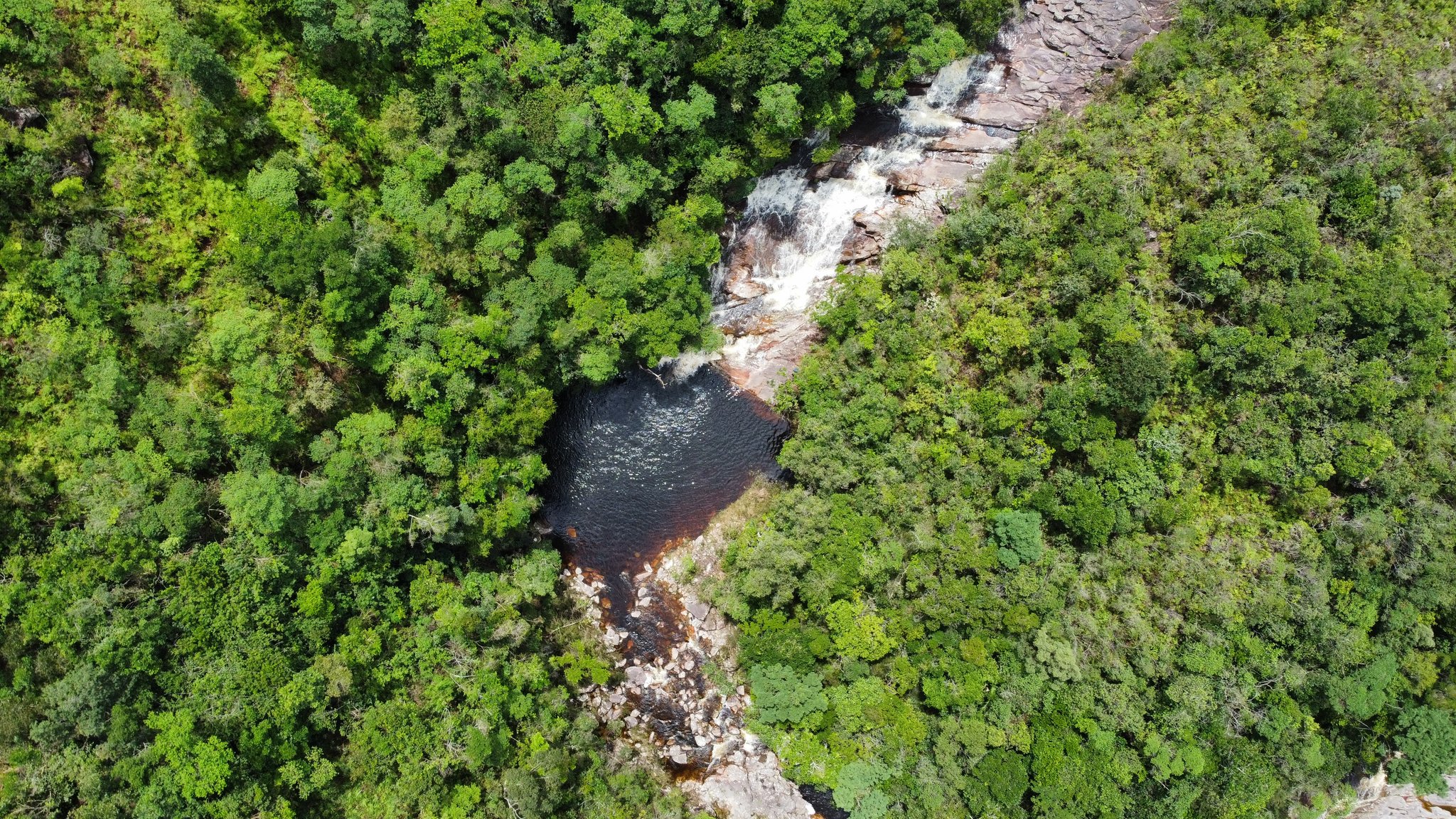 White water, dark pool, endless green — nature does the decorating. Aerial view of a cascading waterfall tumbling over bare rock into a dark tannin-stained natural pool, surrounded by dense green forest canopy on the Pati Valley hike